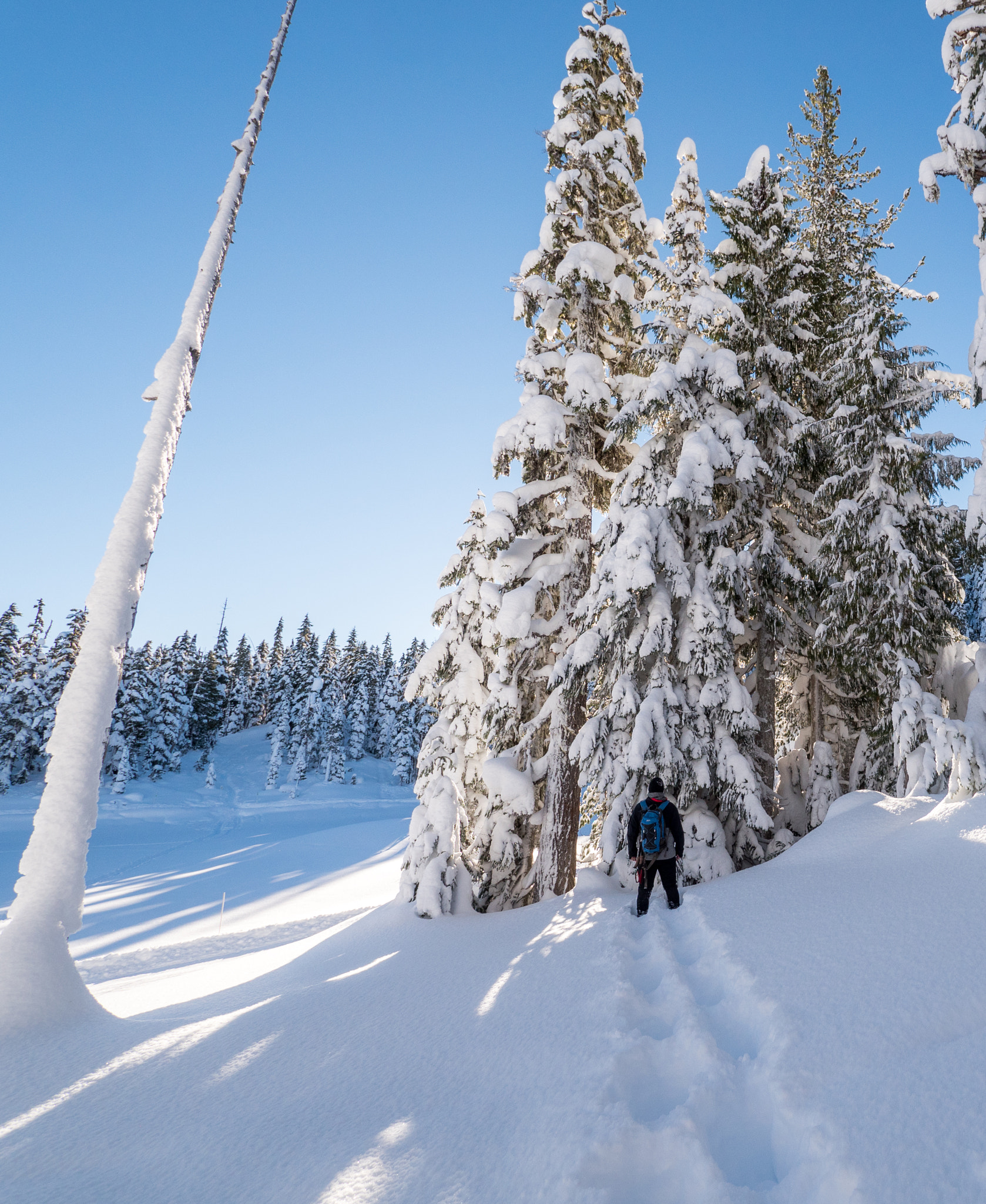 Panasonic Lumix DMC-GH4 + Panasonic Lumix G Vario 7-14mm F4 ASPH sample photo. Fresh snow photography