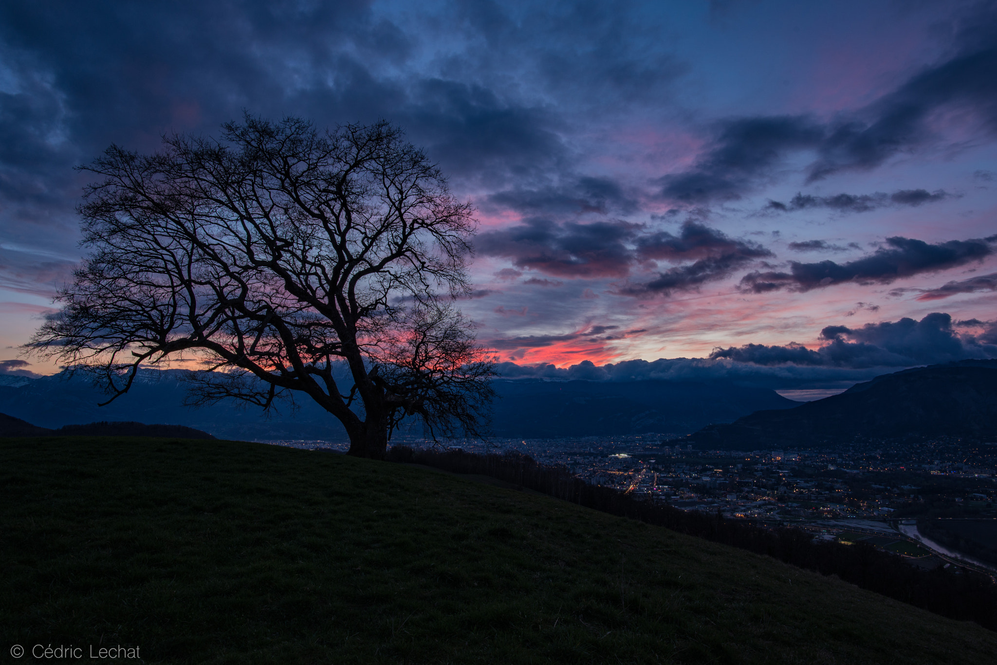 Nikon AF-S Nikkor 20mm F1.8G ED sample photo. Old watcher photography