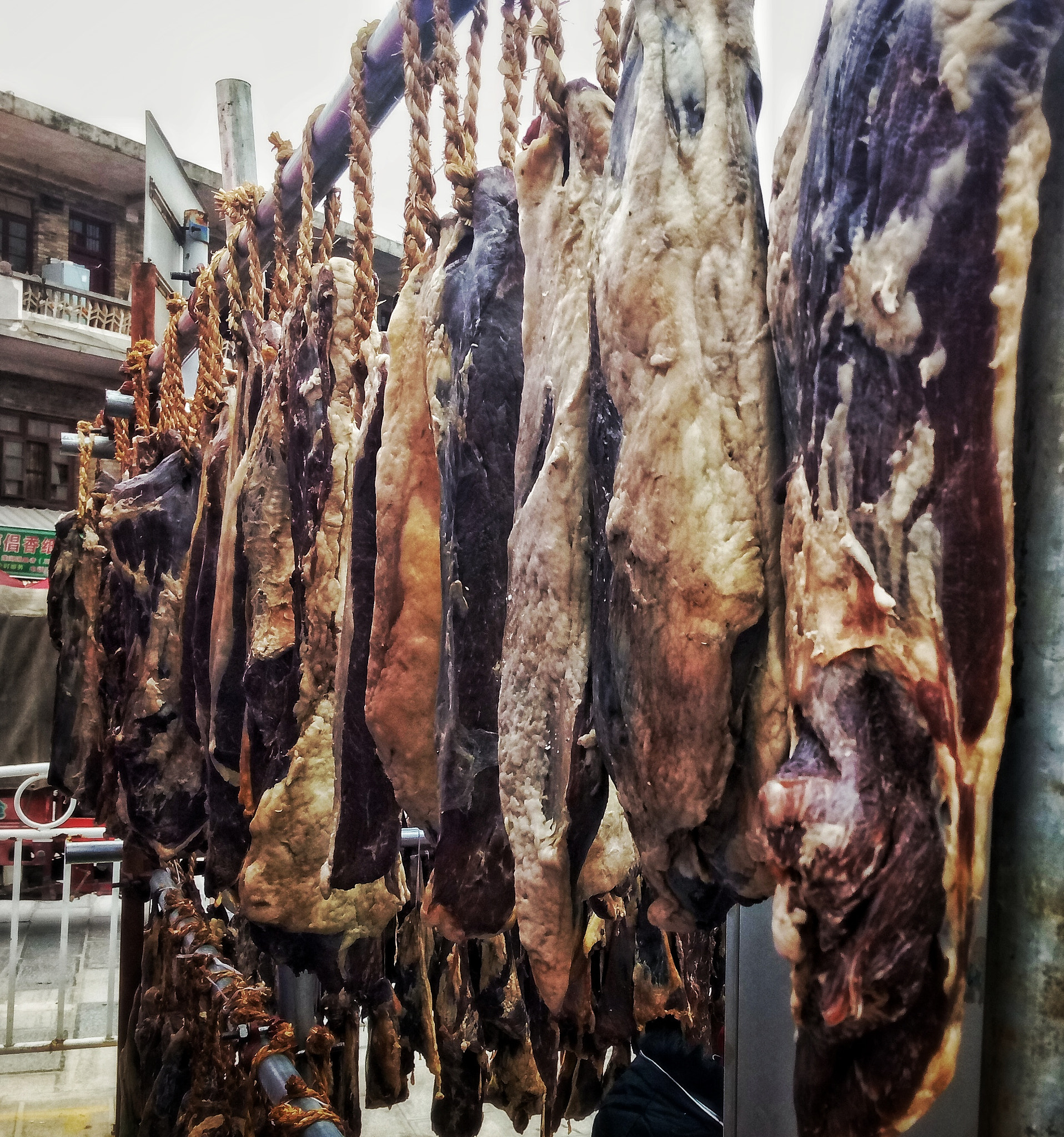 Meizu m3 note sample photo. 肉林 photography