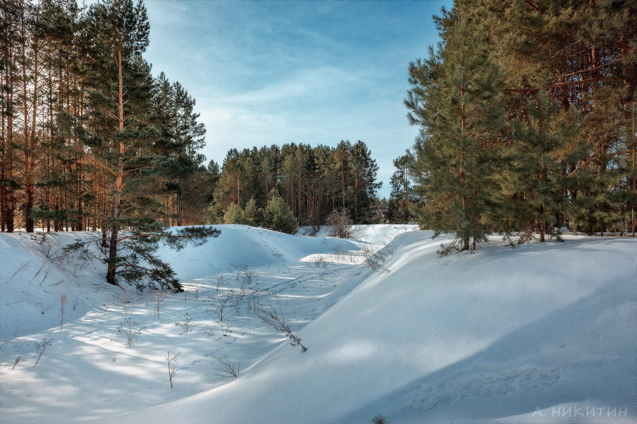 Canon EF 28mm F1.8 USM sample photo. Конец марта, зазеленели ели, скоро ... photography