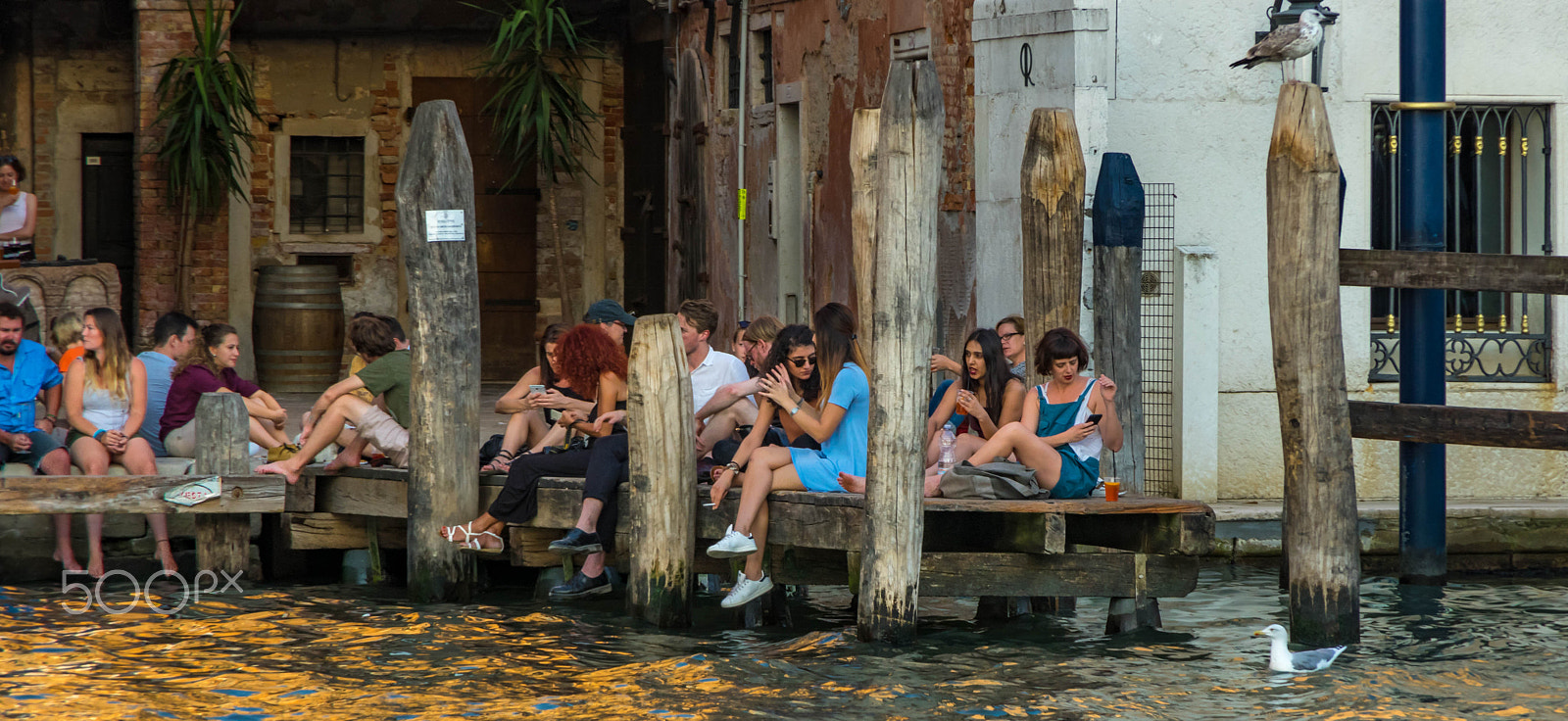 Pentax K-3 sample photo. Hanging out in venice. photography