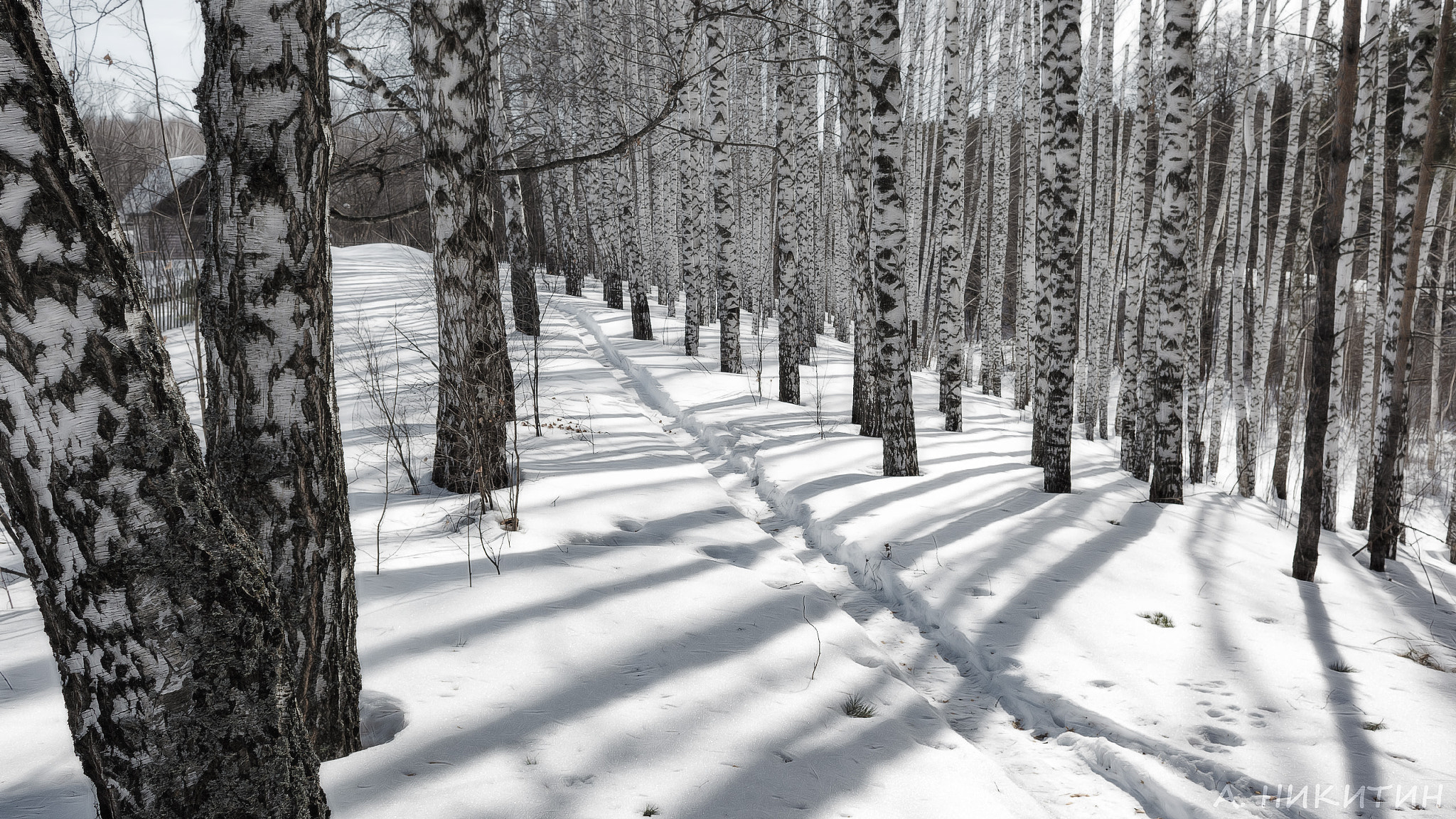 Canon EF 28mm F1.8 USM sample photo. Тропинка в весеннем лесу photography