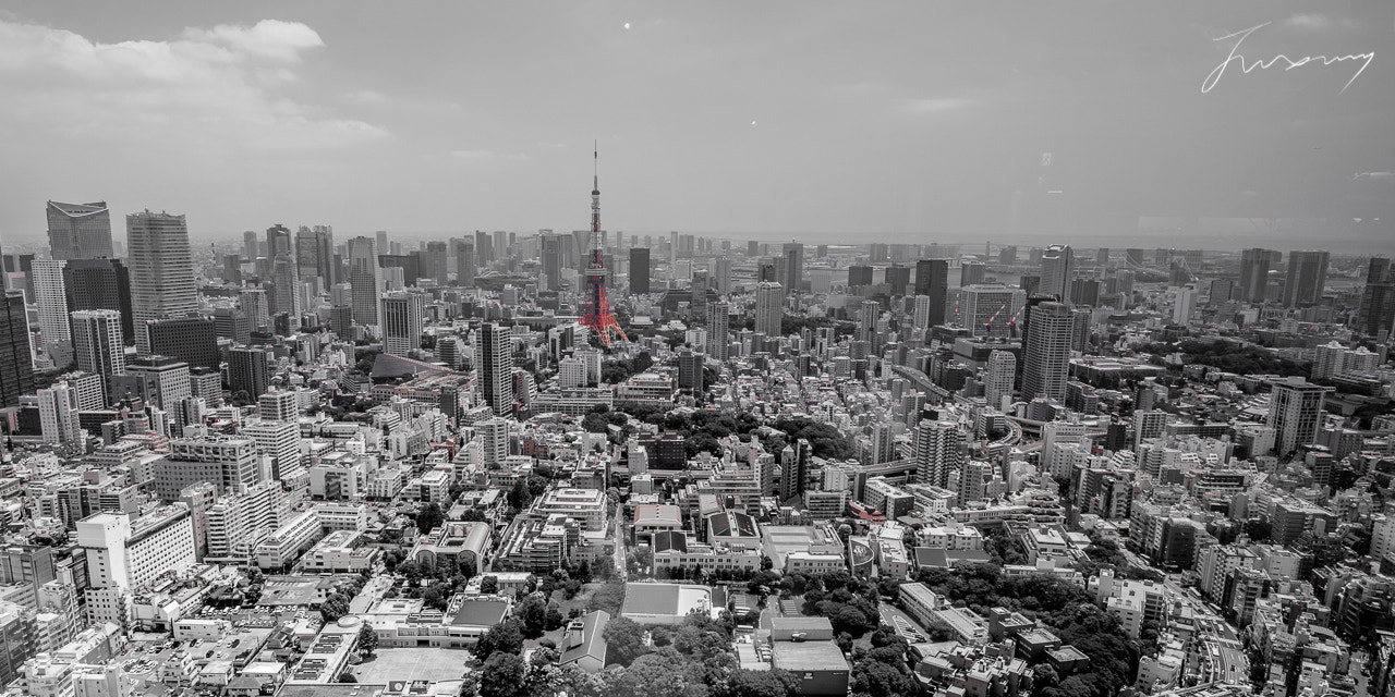Nikon D750 + Nikon AF-S Nikkor 20mm F1.8G ED sample photo. Tokyo tower photography