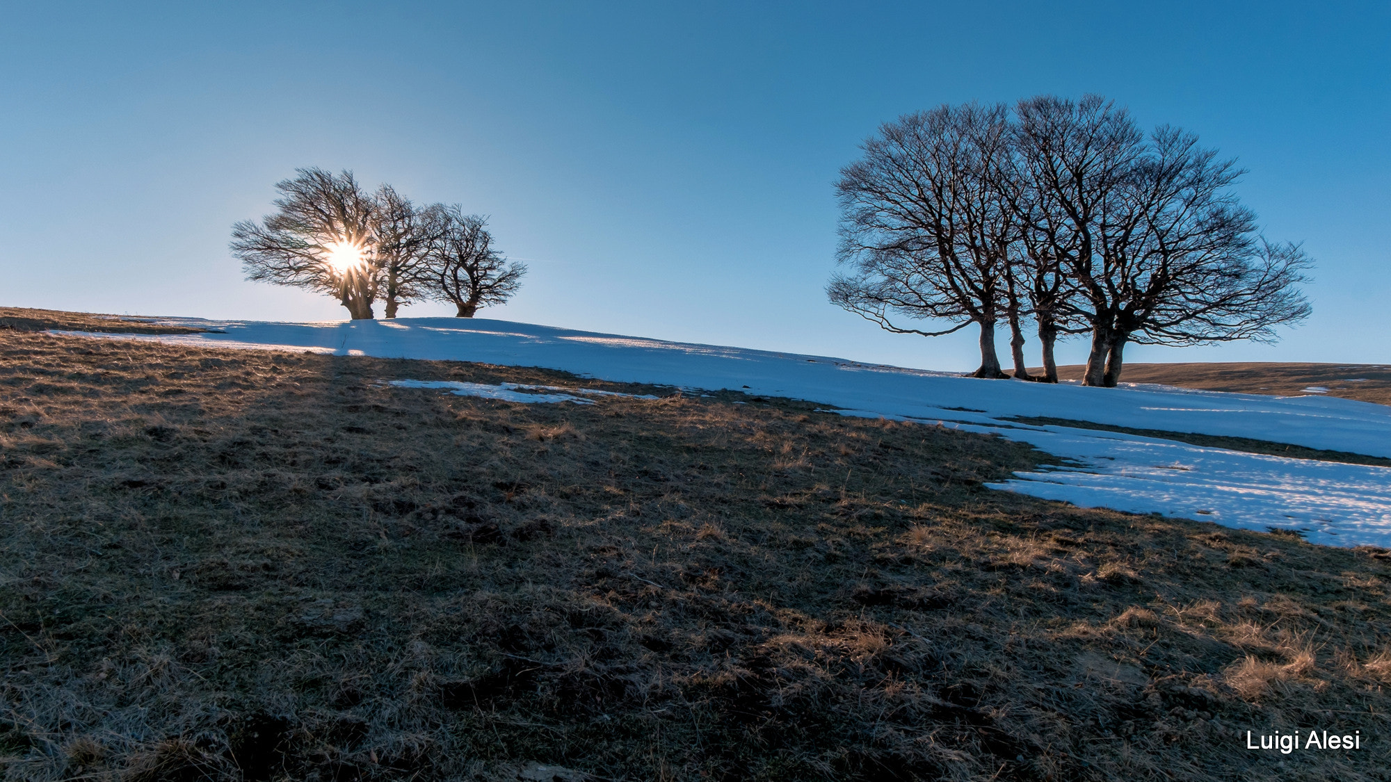 Fujifilm X-M1 sample photo. Faggi sul monte fema photography