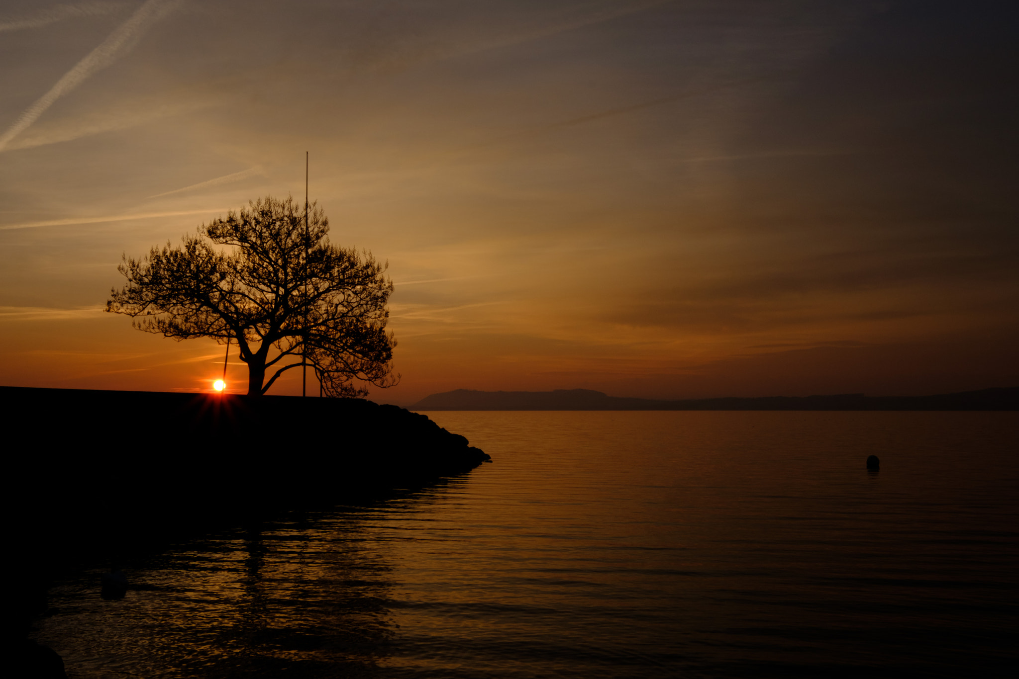 Fujifilm X-T2 + Fujifilm XF 10-24mm F4 R OIS sample photo. ...treesilhouette... photography