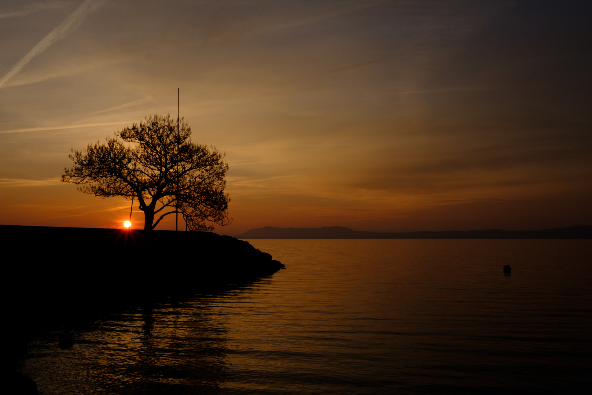 Fujifilm X-T2 sample photo. ...treesilhouette... photography