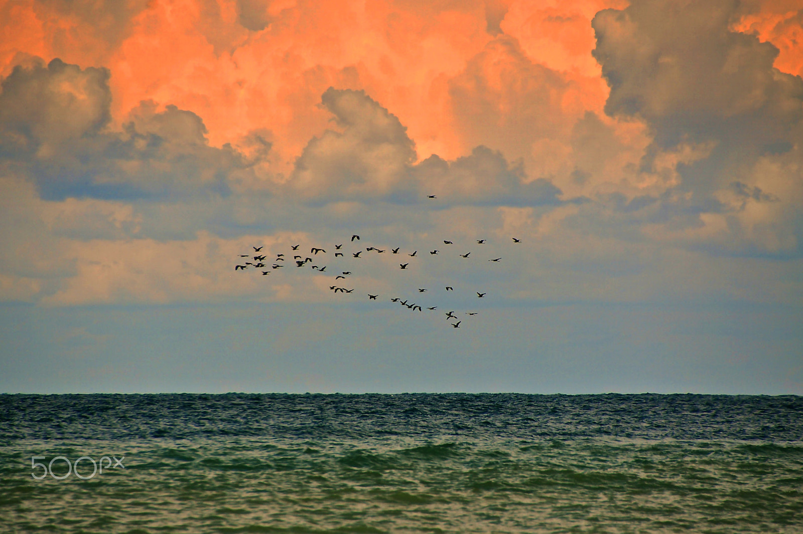 Nikon D5000 sample photo. ** photography