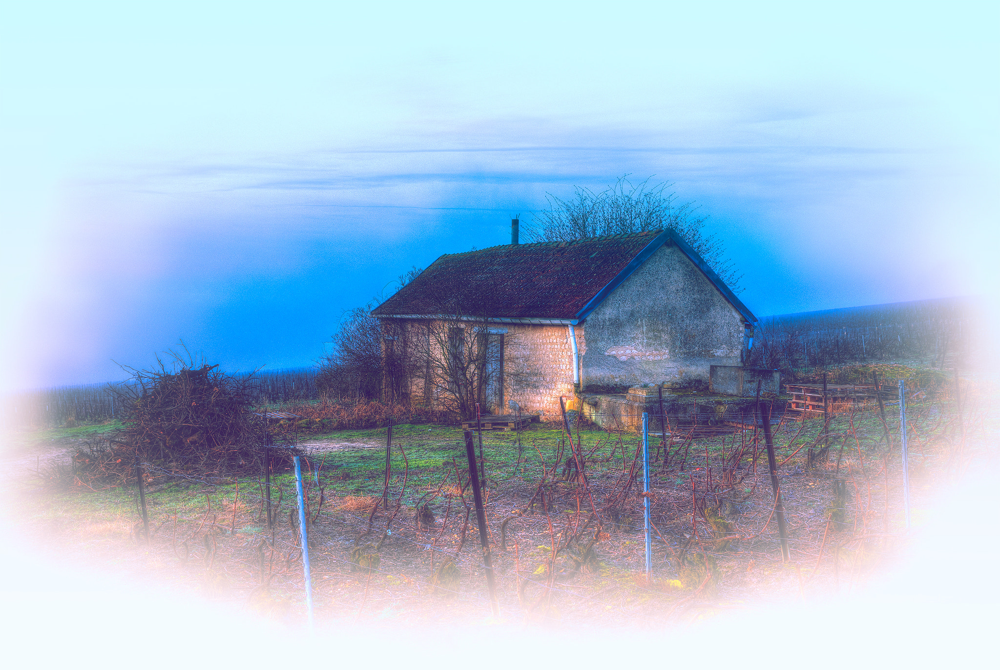 Canon EF 24-70mm F2.8L II USM sample photo. La cabane du vigneron photography
