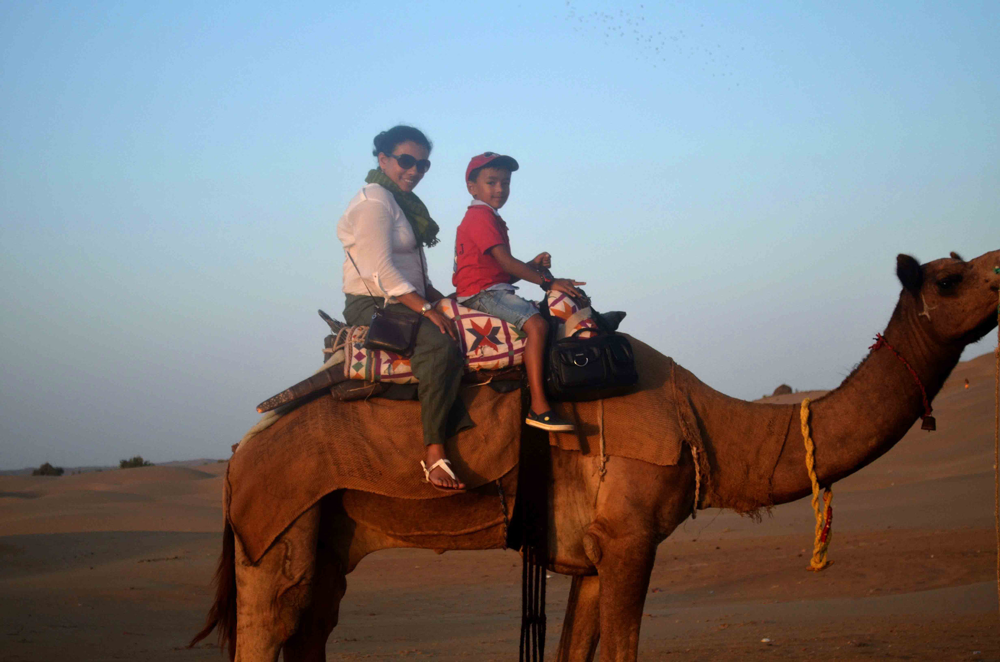 Nikon D5100 sample photo. Jodhpur jaisalmer - what no one tells you about? https://wp.me/p7czli-1ws photography