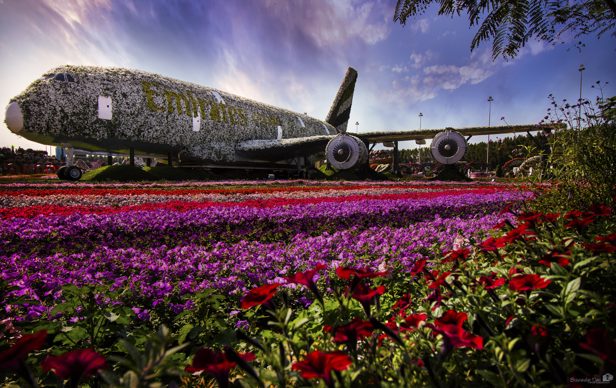 Canon EOS 80D sample photo. Emirates a380 blossoms at dubai miracle garden photography
