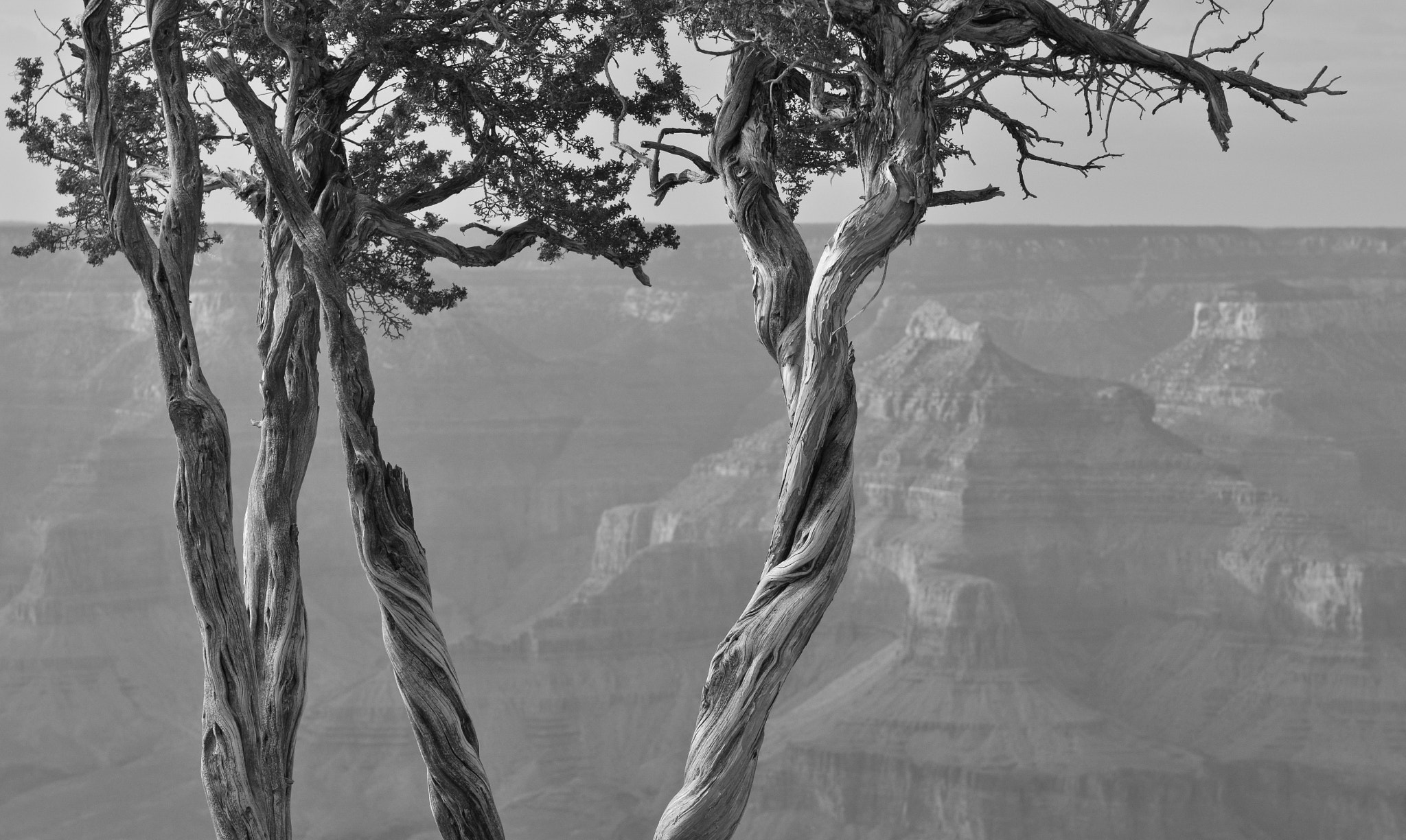 Nikon AF-S Nikkor 24-70mm F2.8G ED sample photo. Grand canyon photography