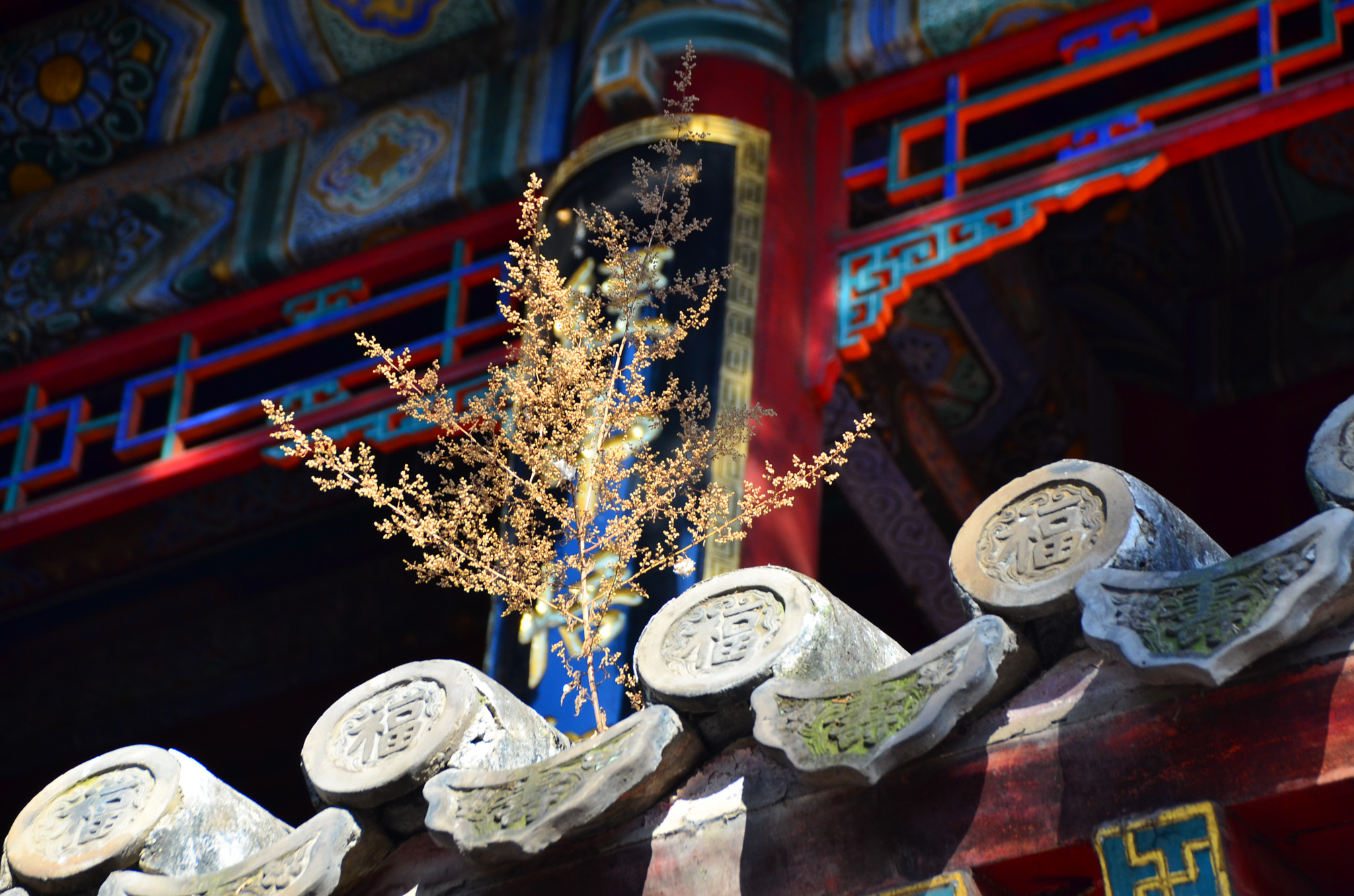 Sigma 18-250mm F3.5-6.3 DC Macro OS HSM sample photo. 潭柘寺 photography