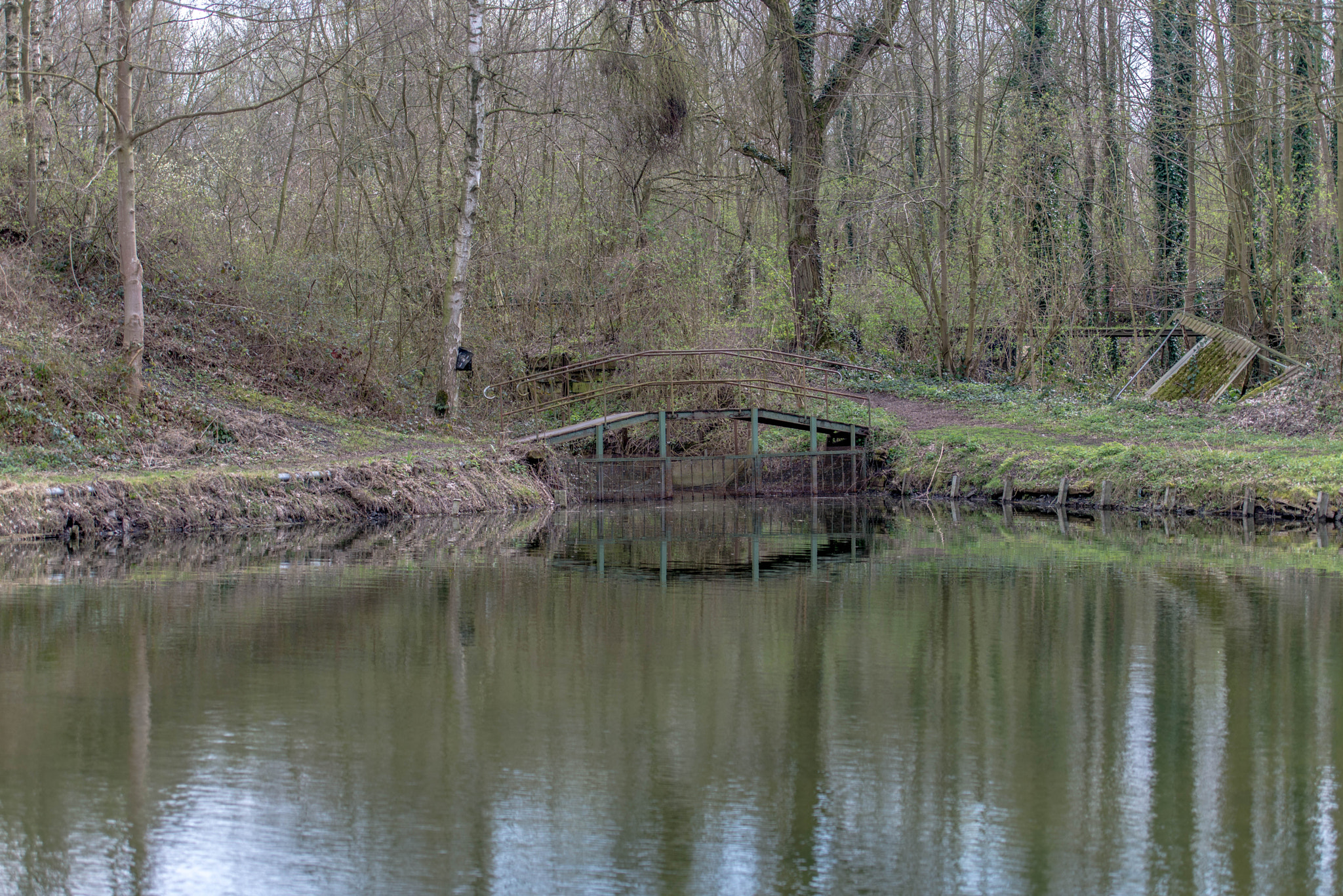 Nikon D610 sample photo. Marais de wingles.france. photography