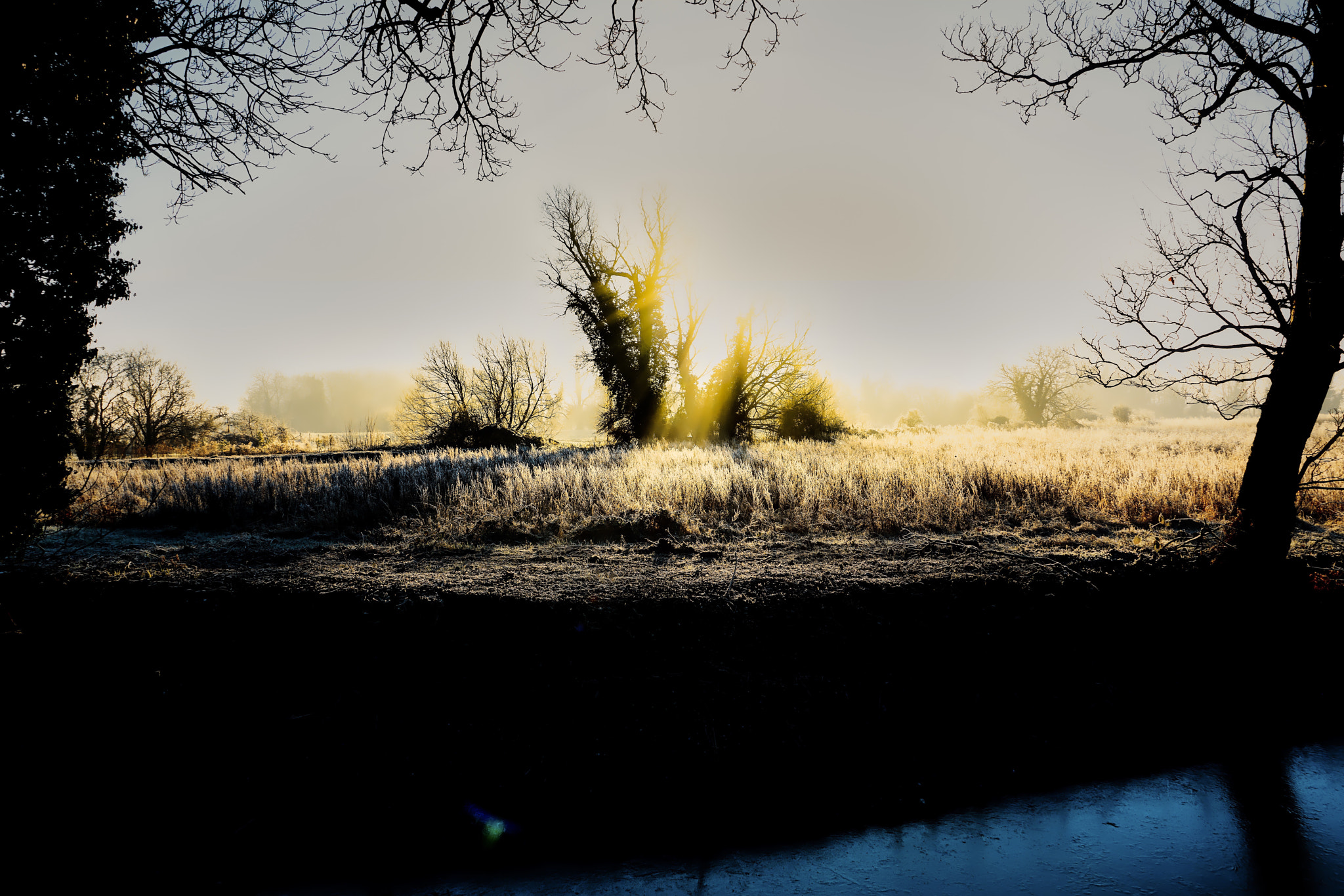 Sony a7R II + Sony FE 24-240mm F3.5-6.3 OSS sample photo. Frozen riverbank in early morning winter sun and mist photography