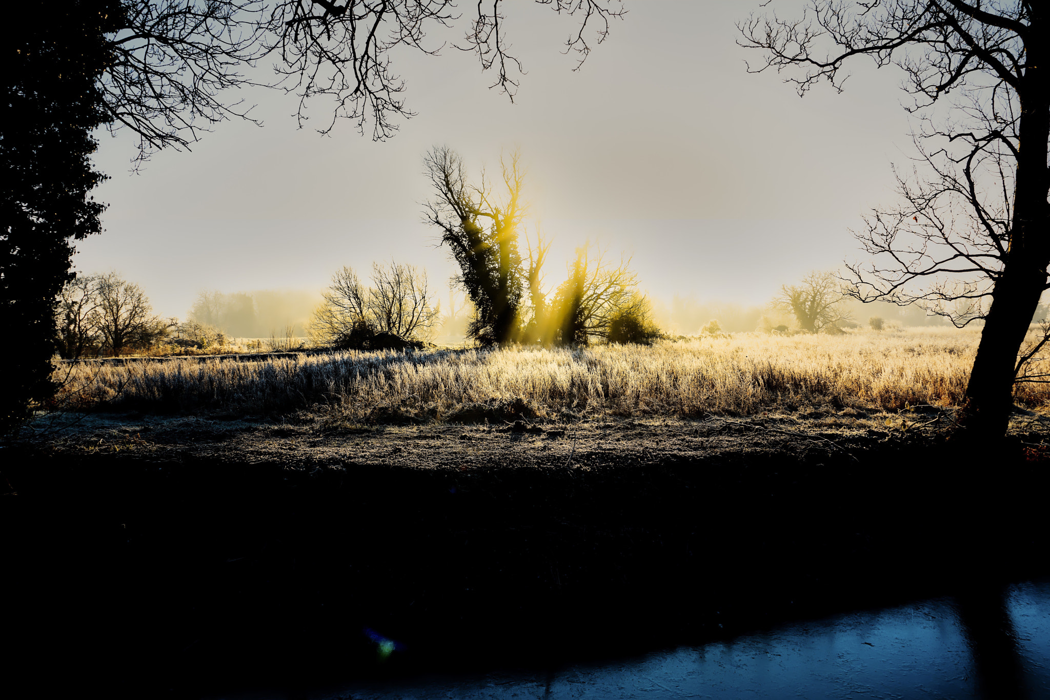 Sony FE 24-240mm F3.5-6.3 OSS sample photo. Frozen riverbank in early morning winter sun and mist photography