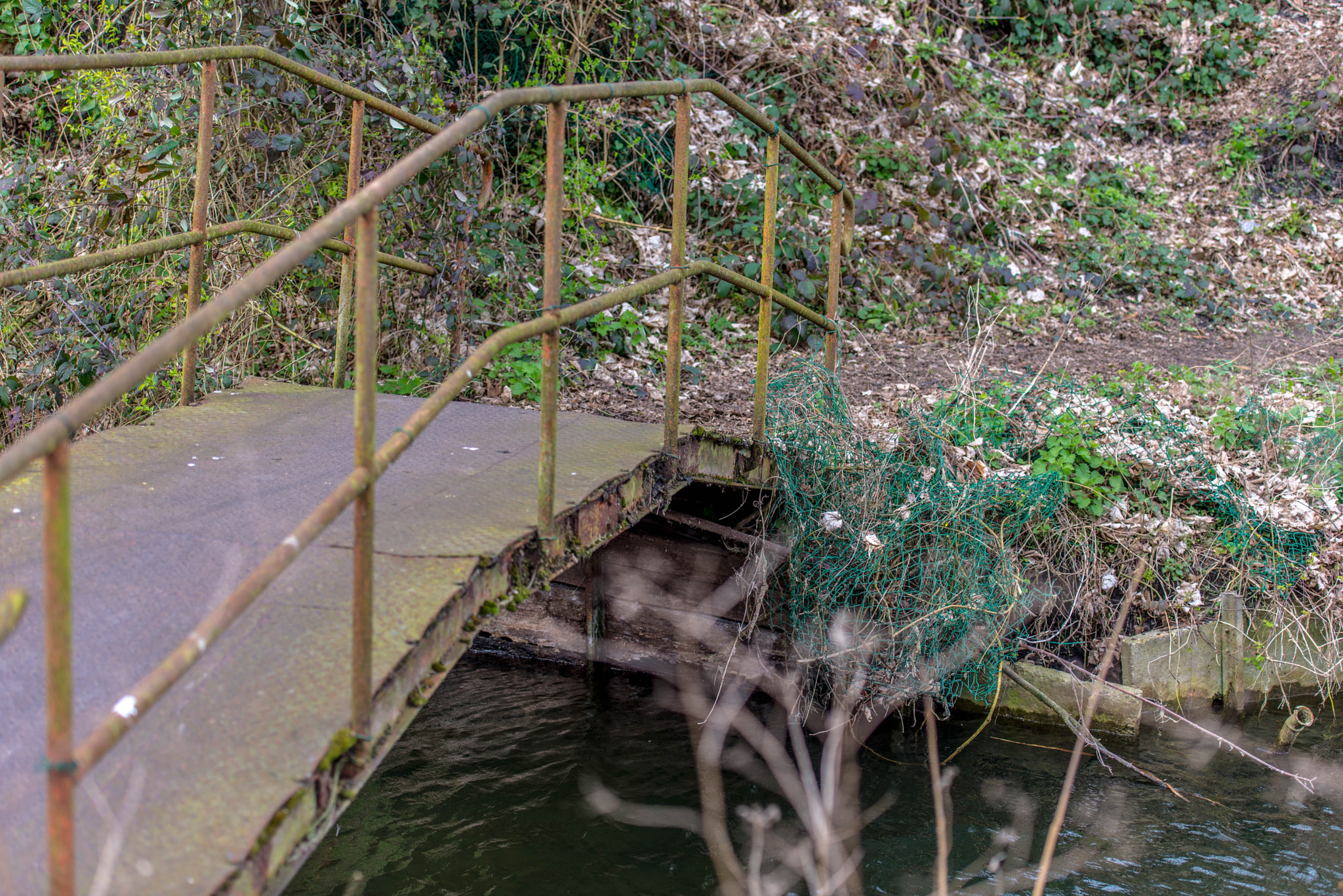 Nikon D610 sample photo. Marais de wingles.france. photography