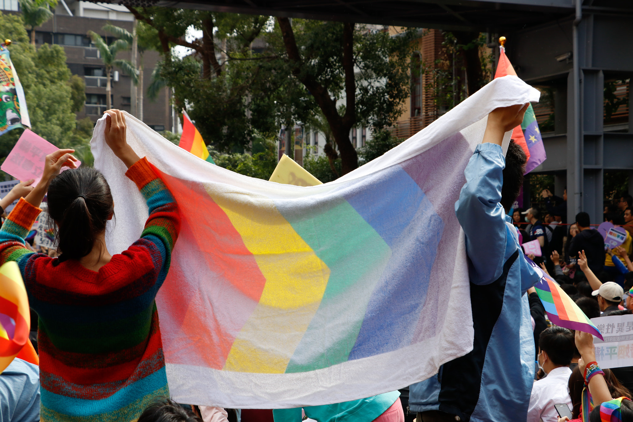 Canon EOS 80D sample photo. Marriage equality demonstration, taiwan, 20161128 photography