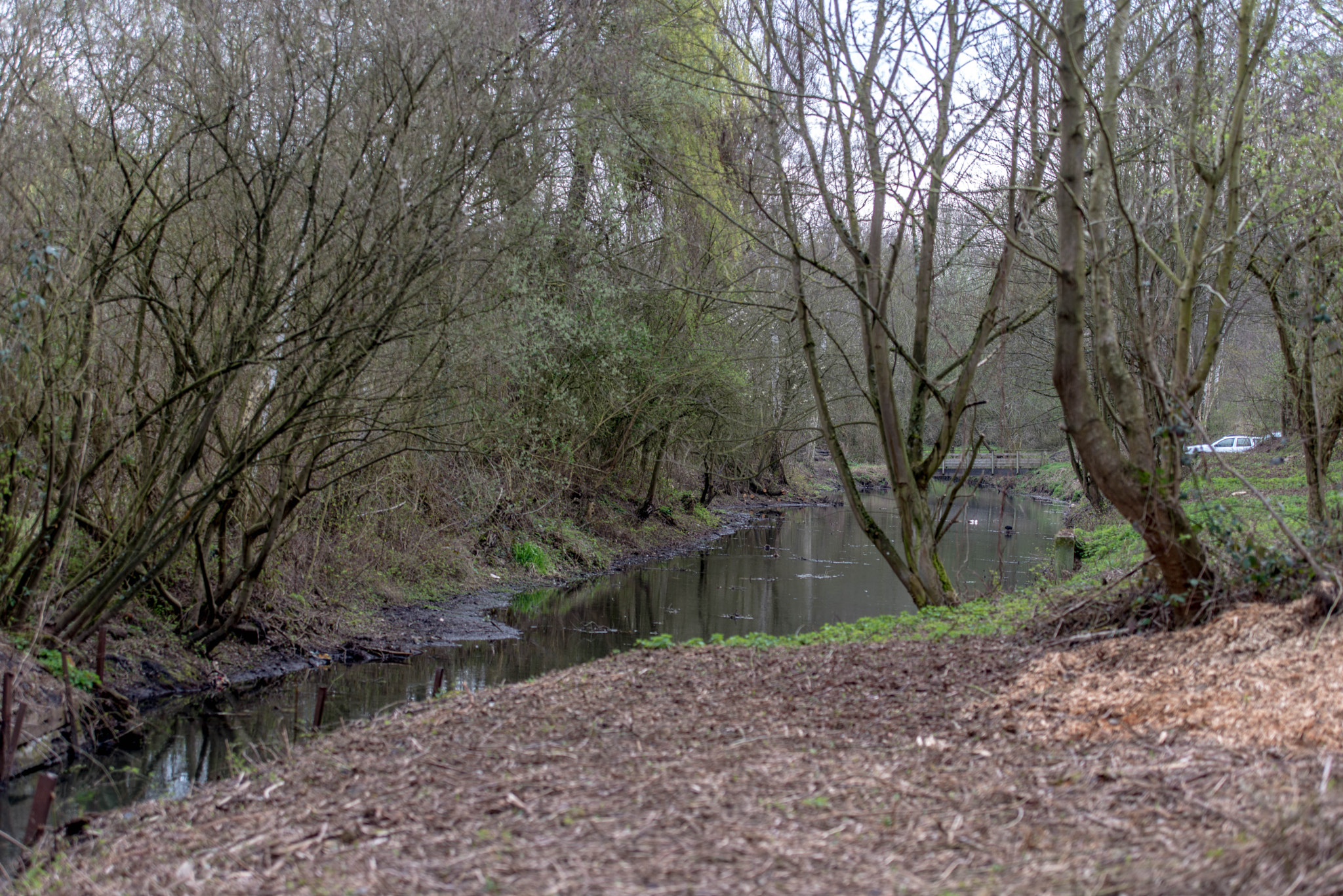 Nikon D610 sample photo. Marais de wingles.france. photography