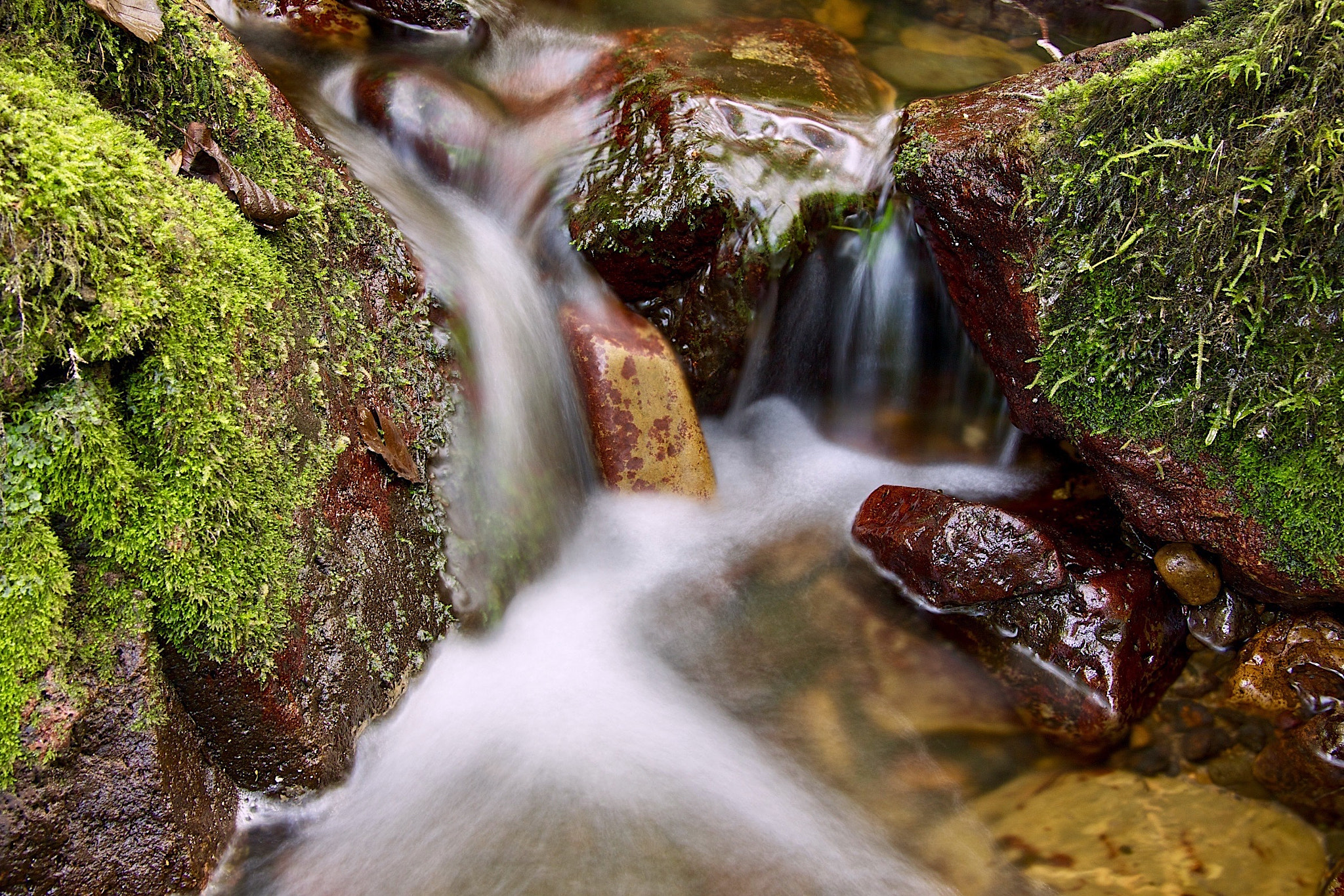 Canon EF-S 17-85mm F4-5.6 IS USM sample photo. Naturaleza photography