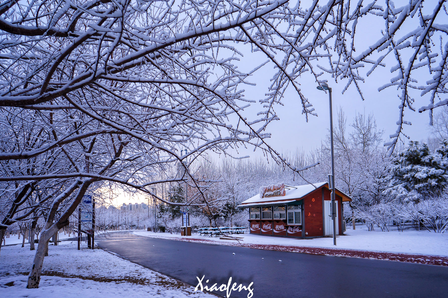 Sony Alpha NEX-5N sample photo. Snow in the spring photography