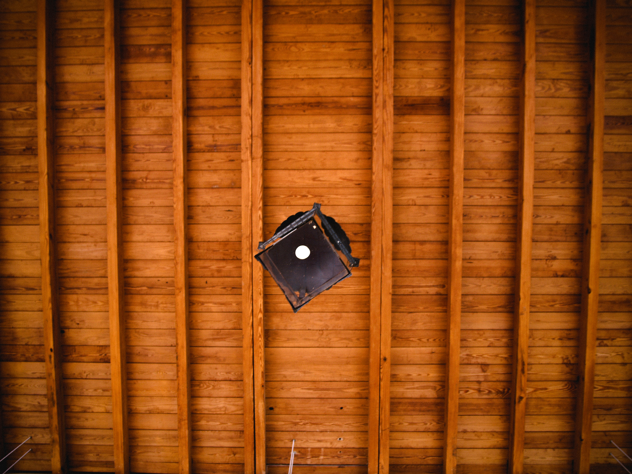 Olympus E-330 (EVOLT E-330) sample photo. л photography