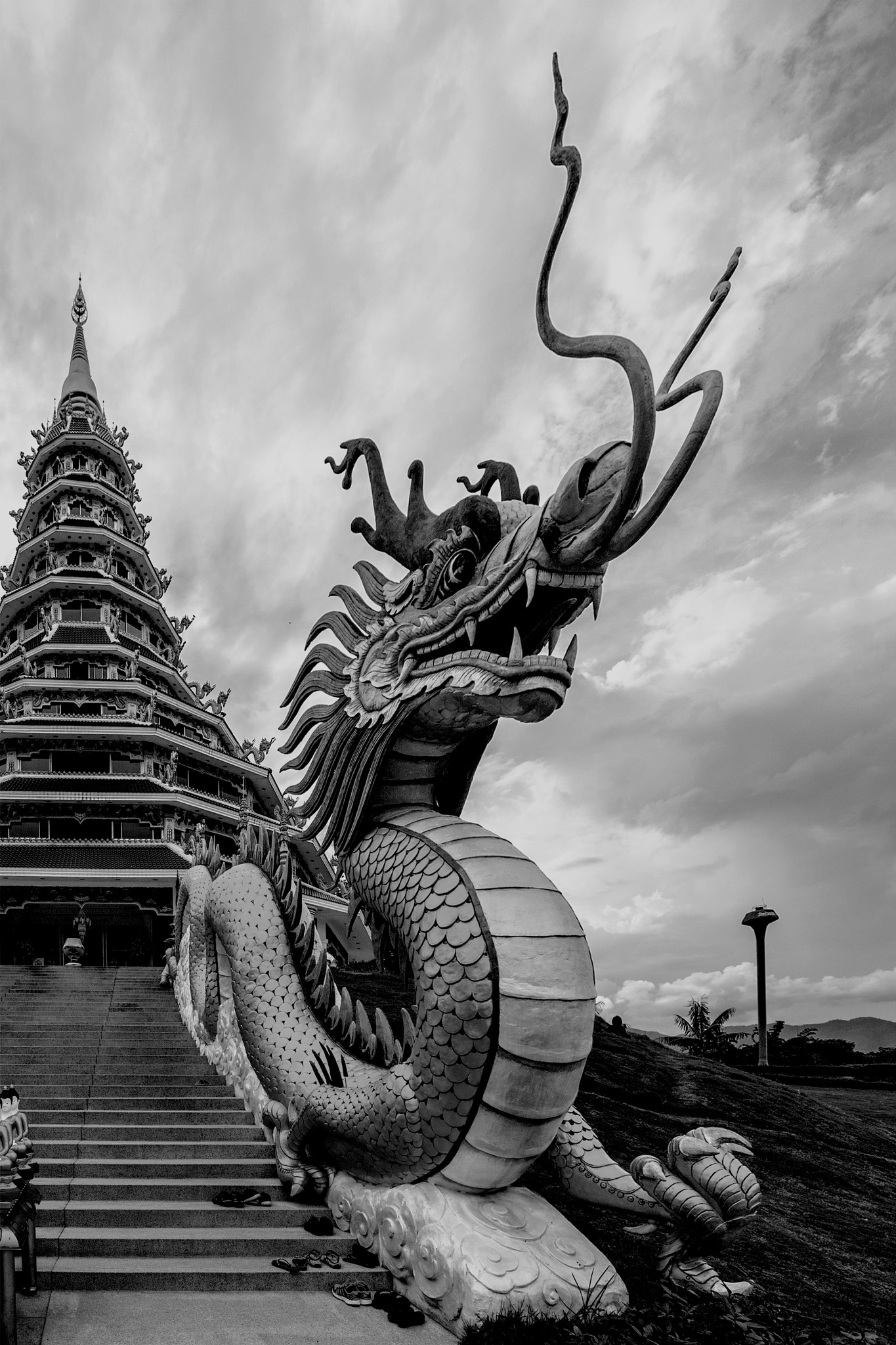Nikon D5 sample photo. Dragon photography