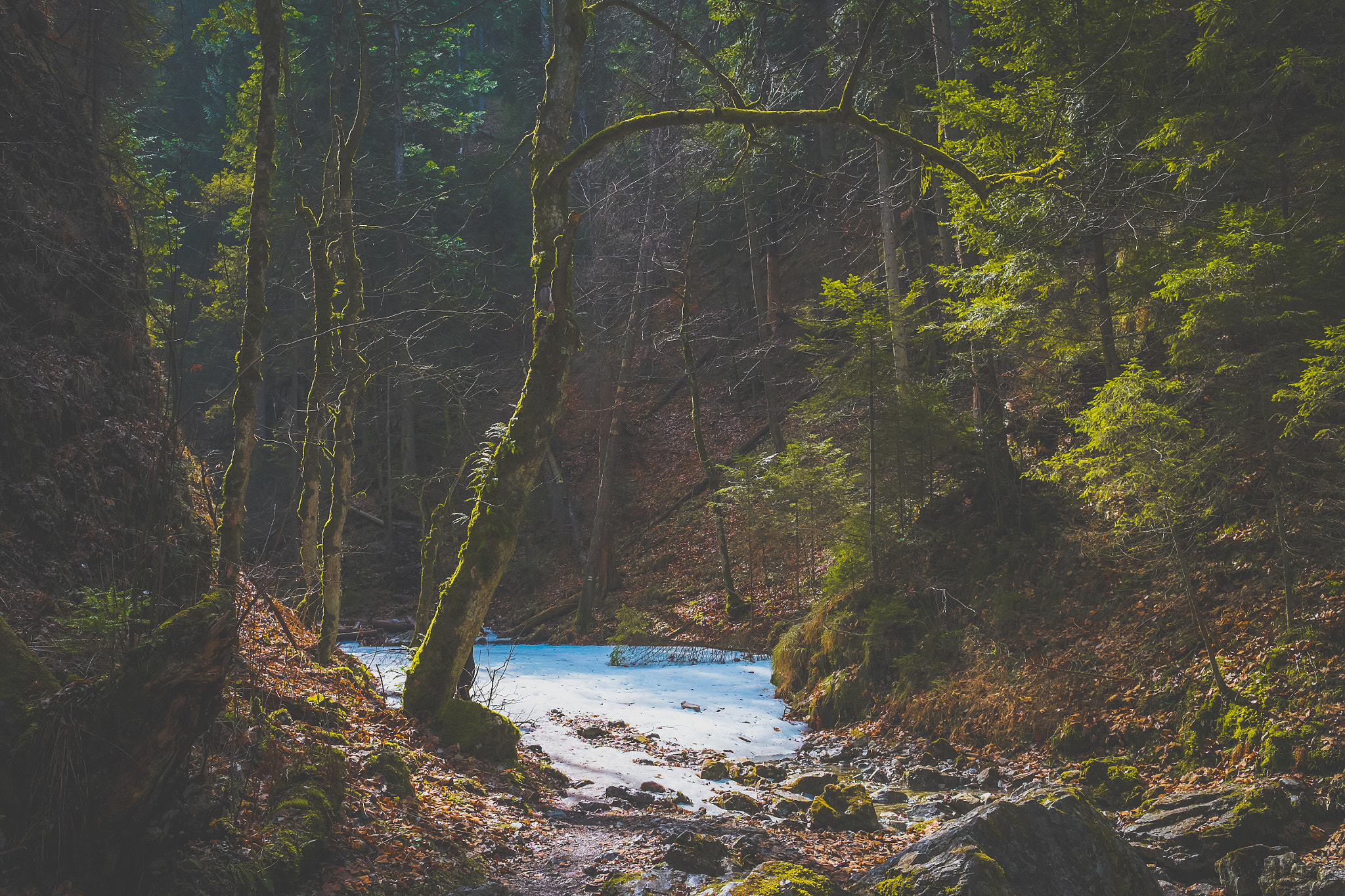 Fujifilm X-Pro1 + Fujifilm XF 23mm F1.4 R sample photo. Frozen stream photography