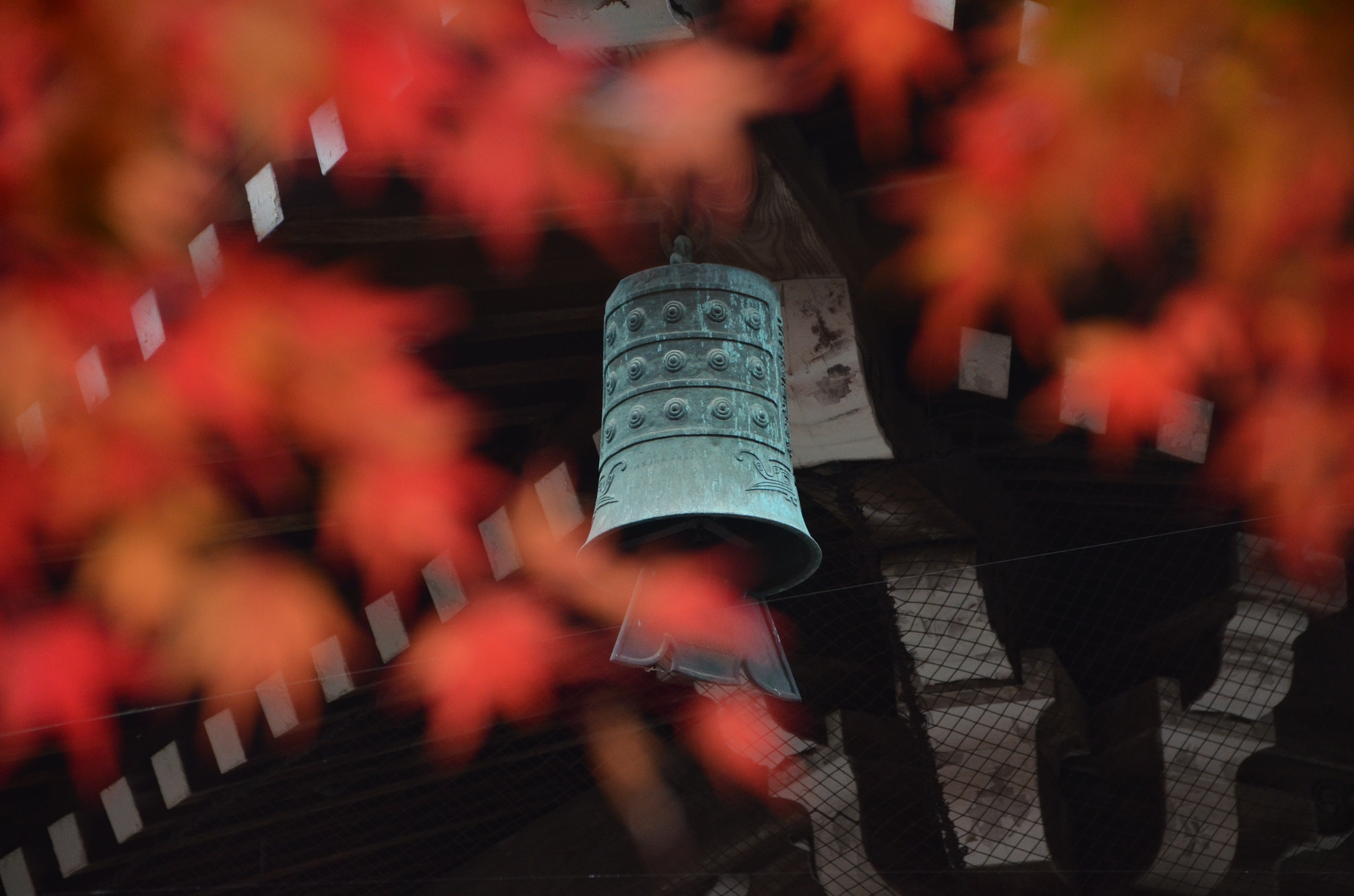 Sigma 18-250mm F3.5-6.3 DC Macro OS HSM sample photo. 南禪寺 photography