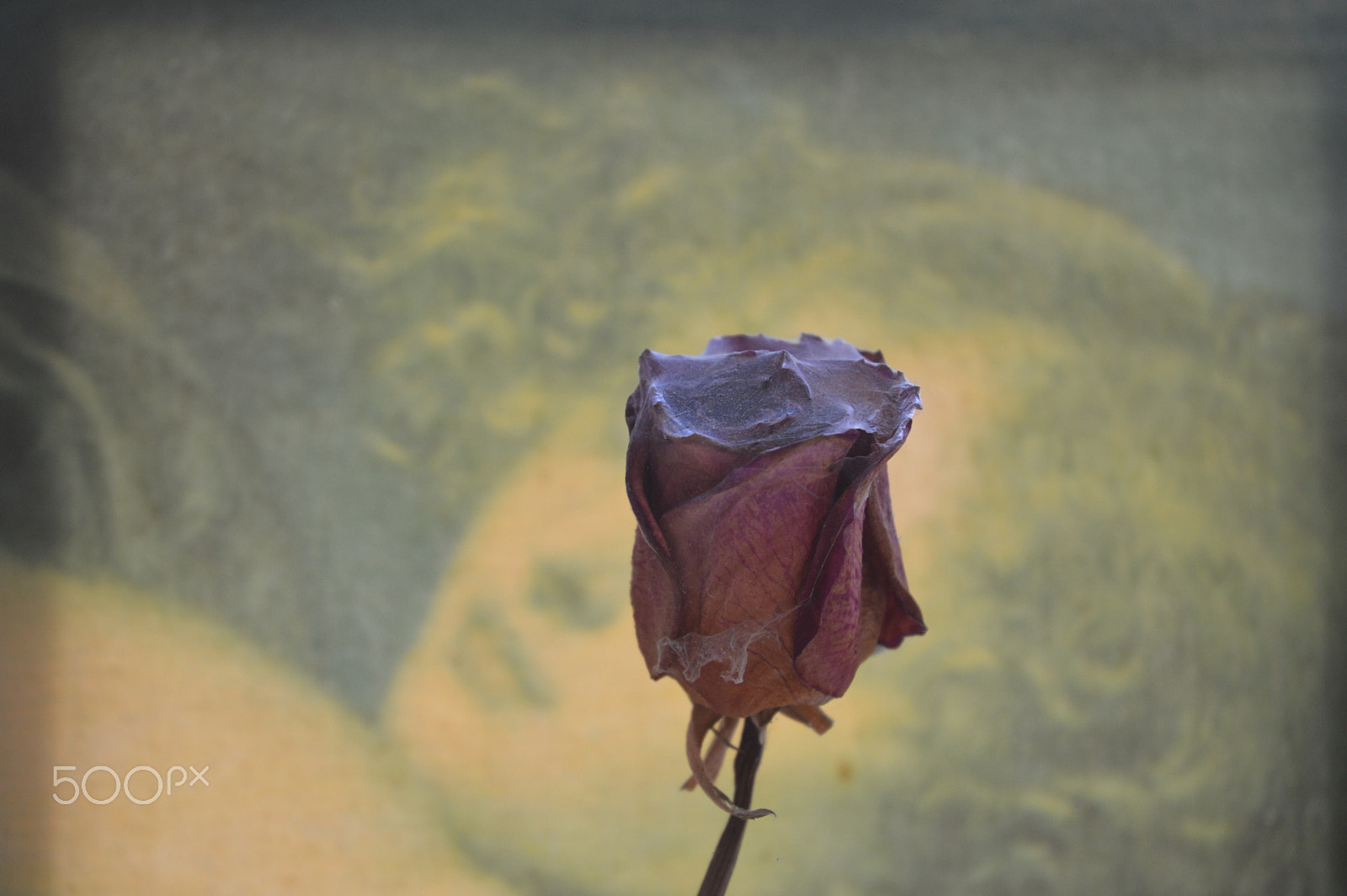 Nikon D3200 sample photo. Old photography