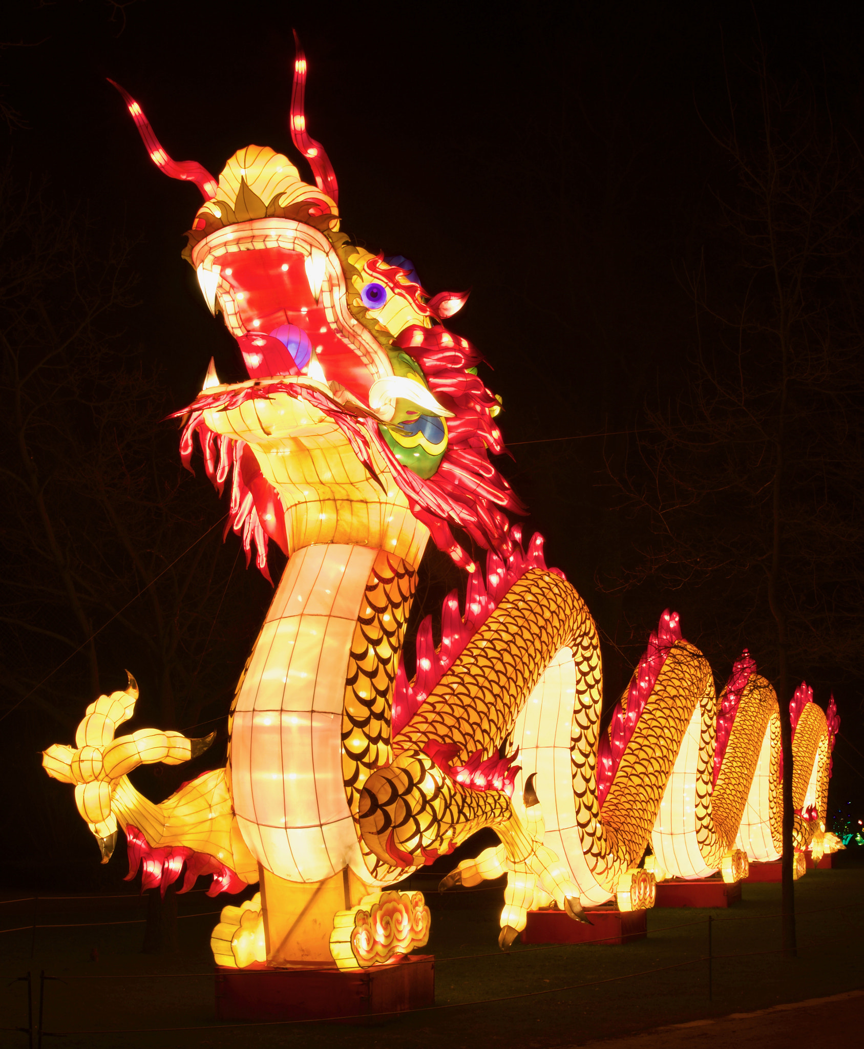 Sony SLT-A65 (SLT-A65V) sample photo. Chinesische licher - drache photography