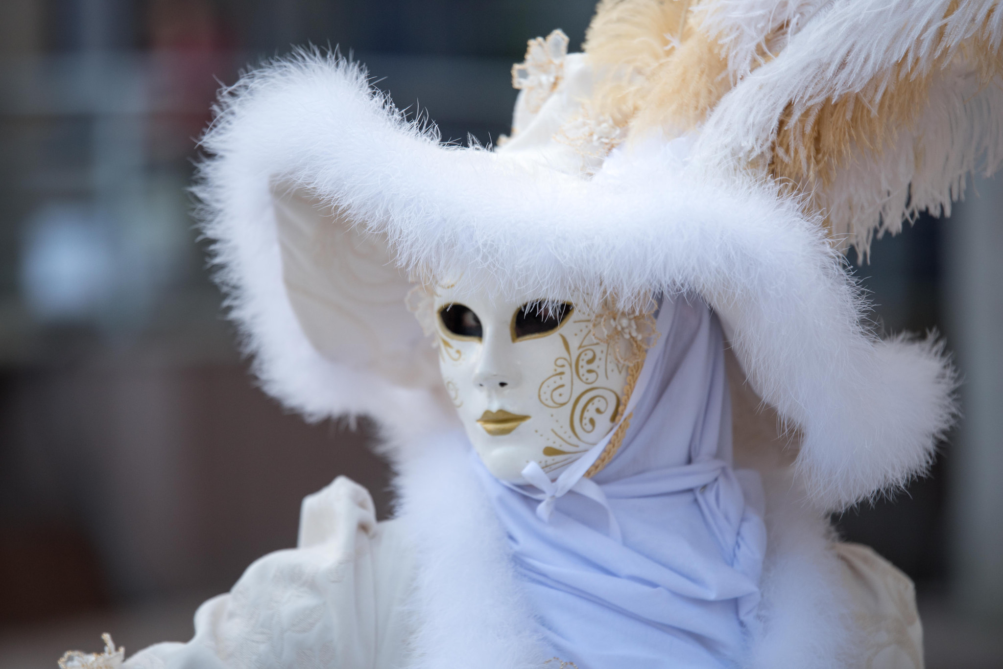 Tamron SP 70-200mm F2.8 Di VC USD sample photo. Carnaval vénitien 2017 photography