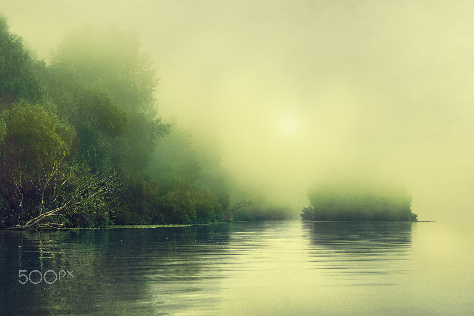 Sony Alpha DSLR-A500 sample photo. A river in the misty danube delta photography