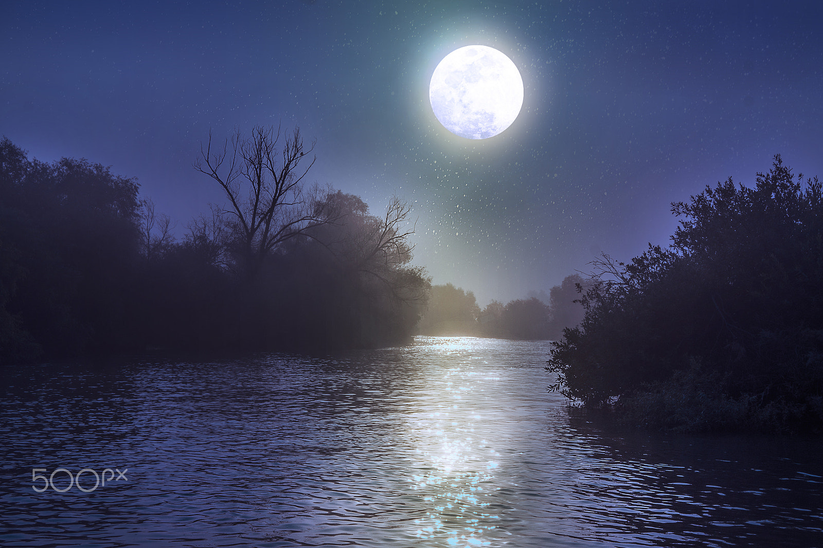 Sony Alpha DSLR-A500 sample photo. River at night with a full moon photography