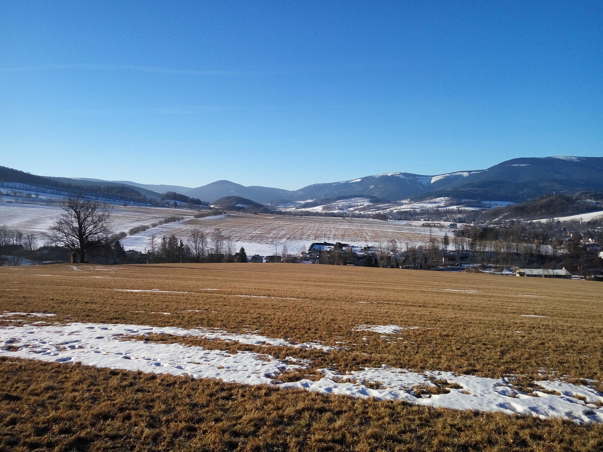 Xiaomi HM Note 2 sample photo. Spring is coming... photography