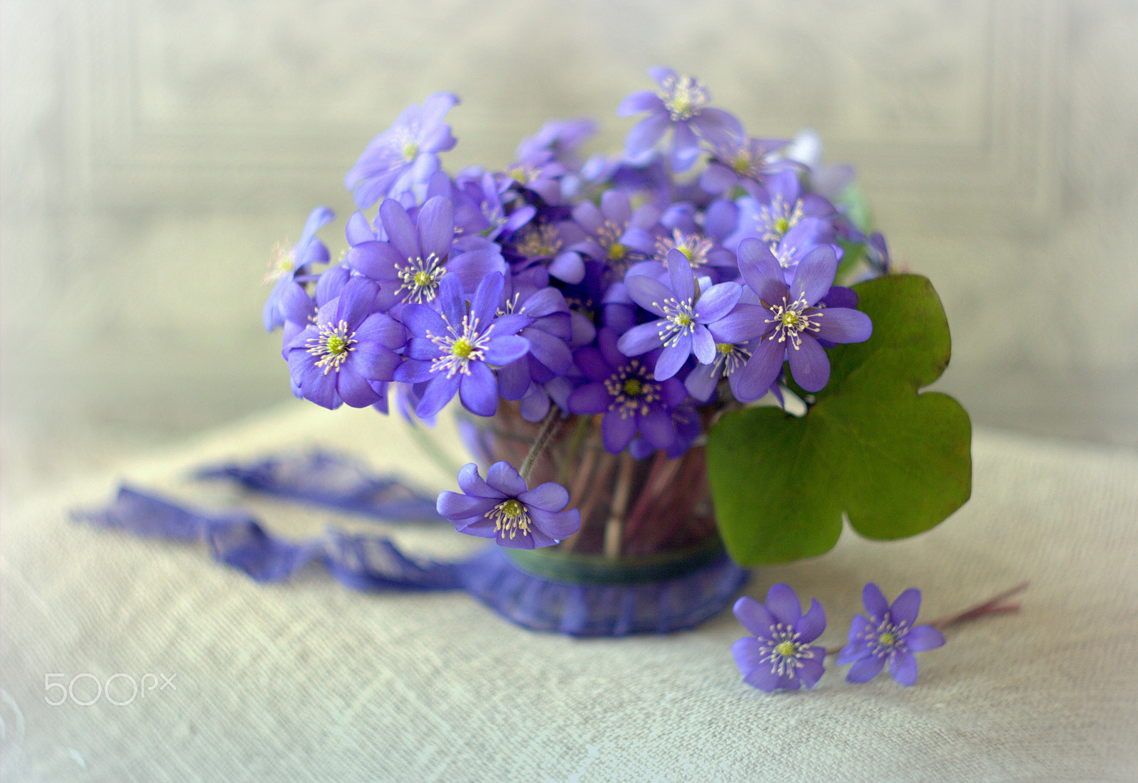 Canon EF 35-80mm f/4-5.6 sample photo. Enjoy the spring photography