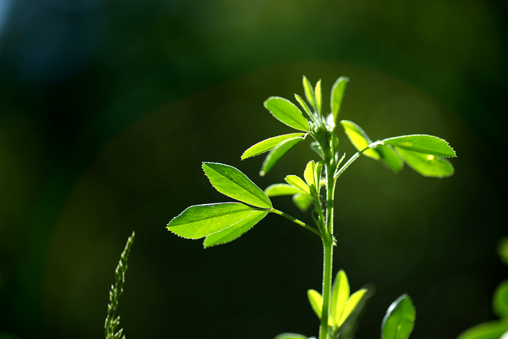 100mm F2.8 OSS sample photo. Dsc photography