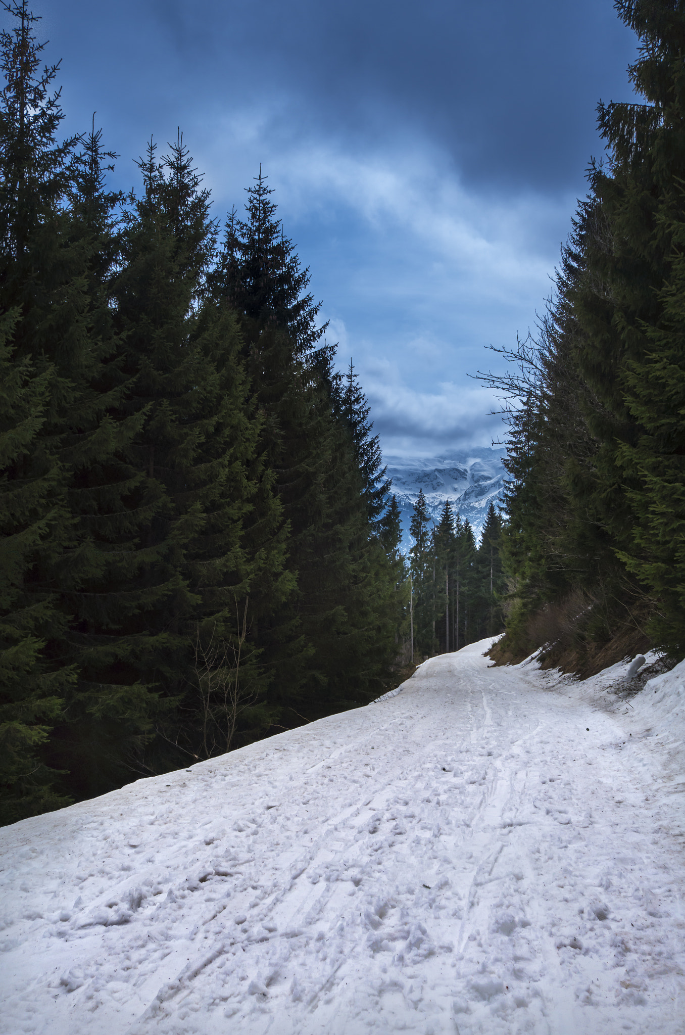 Leica X (Typ 113) sample photo. Trail photography
