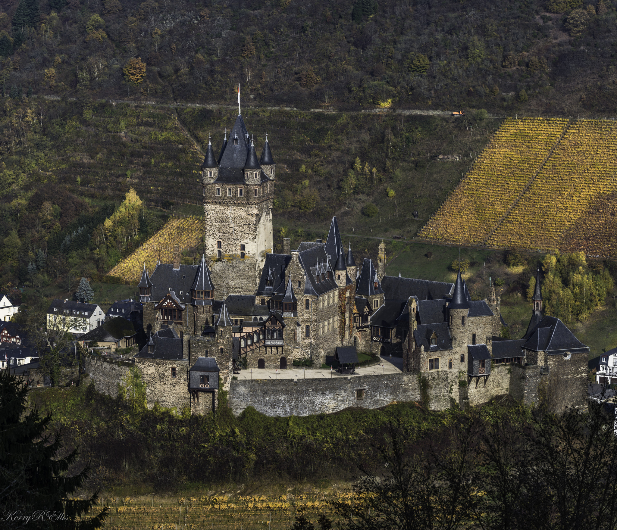 Nikon D810 sample photo. Reichsburg autumn photography
