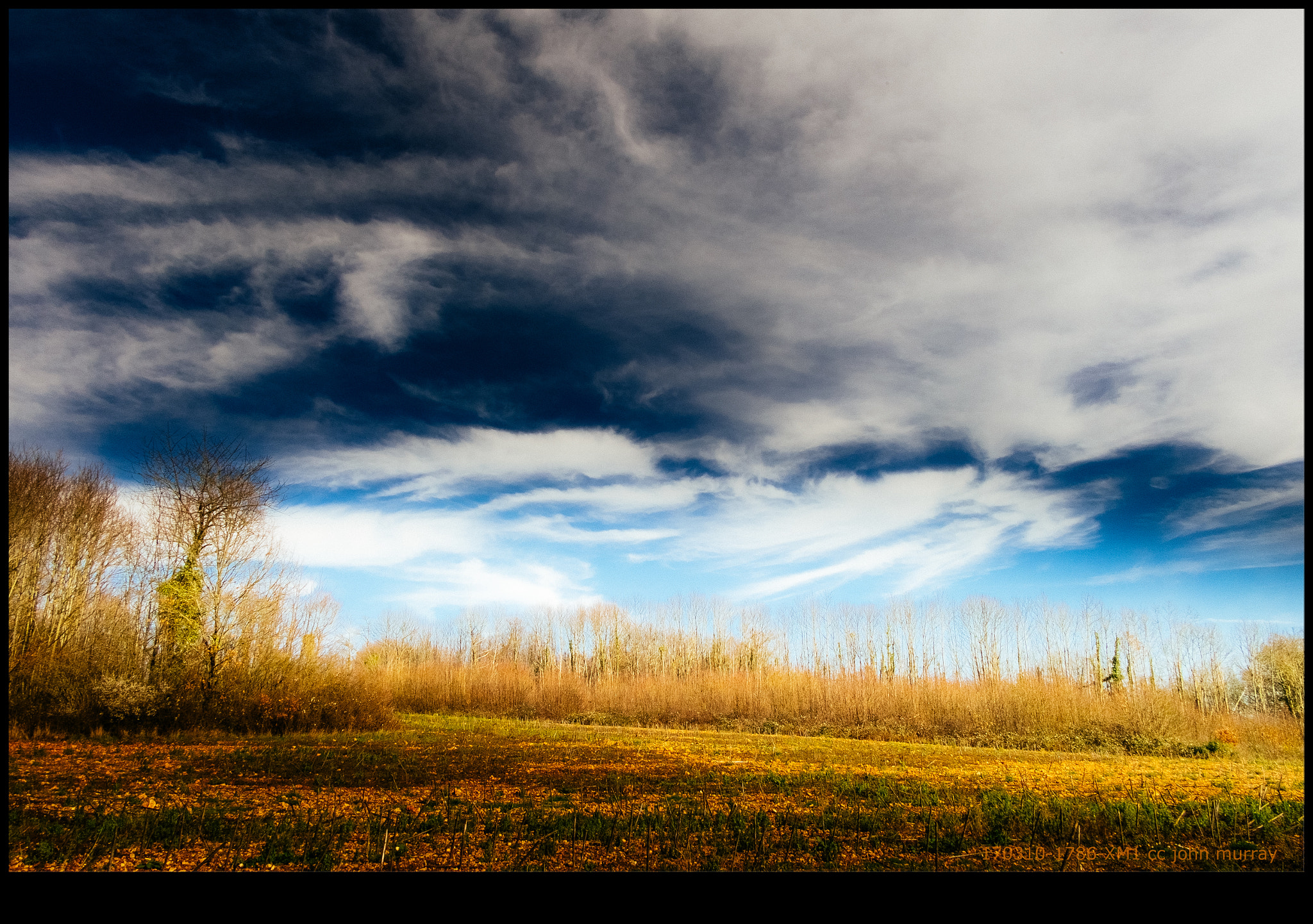 Fujifilm X-M1 sample photo. 170310-1786-xm1.raf photography