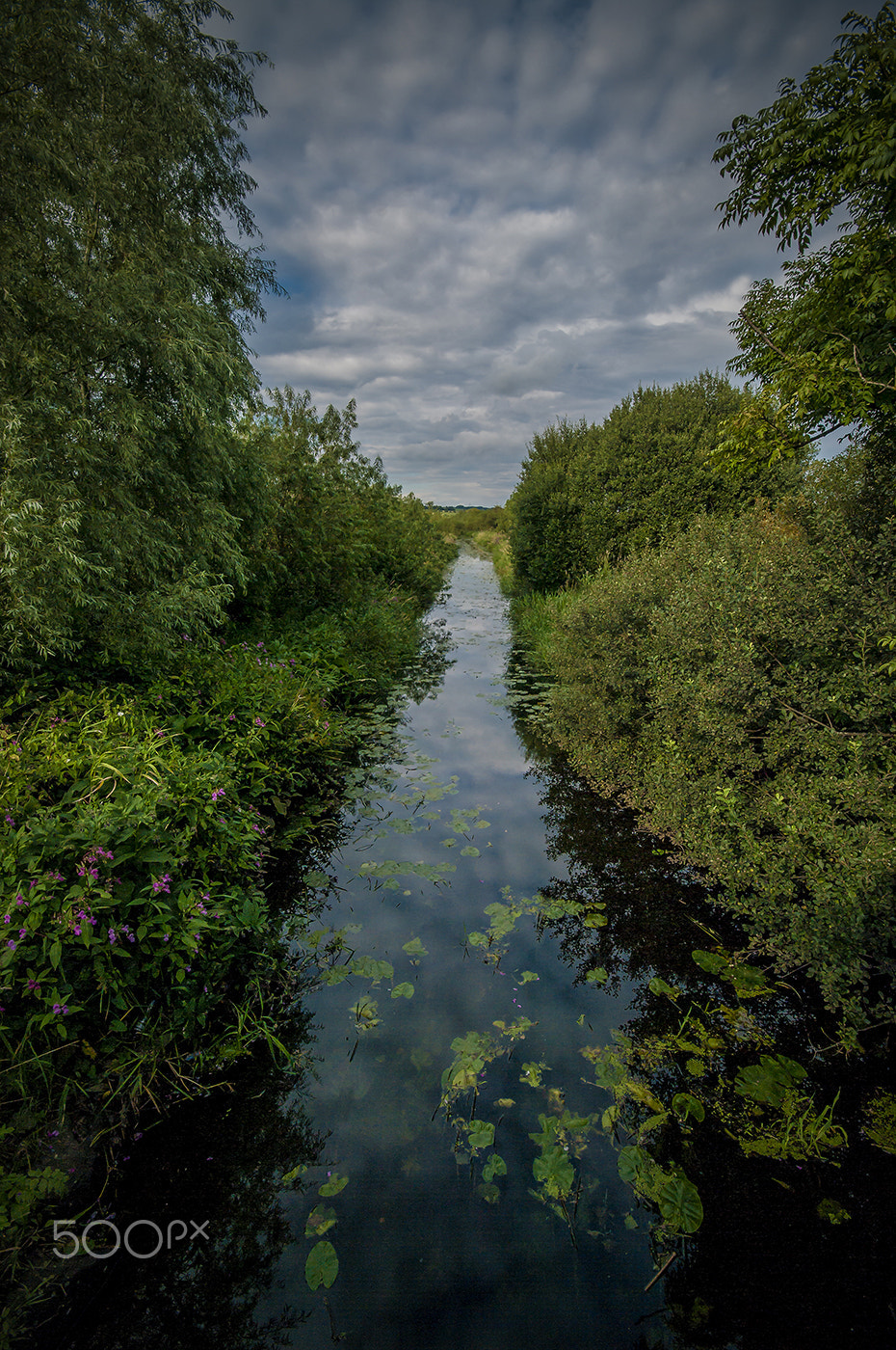 Sigma AF 10-20mm F4-5.6 EX DC sample photo. Lochall bridge, lochwinnoch, scotland. oct 2016 photography