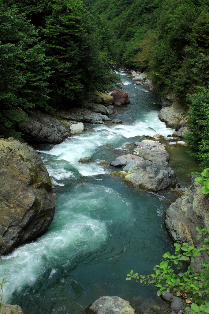Canon 24-70mm sample photo. Tunca stream photography