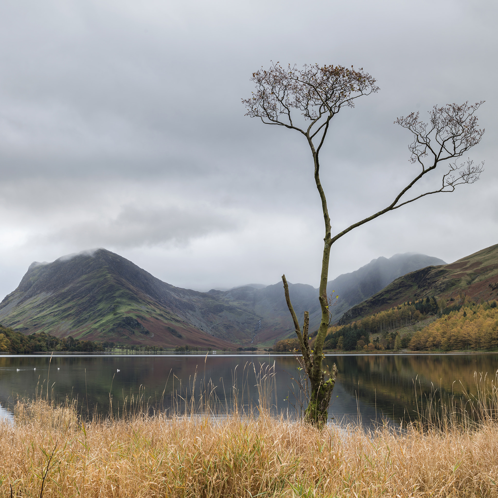 Nikon D800 + Nikon AF-S Nikkor 18-35mm F3.5-4.5G ED sample photo. Stuning autumn fall landscape image of lake buttermere in lake d photography