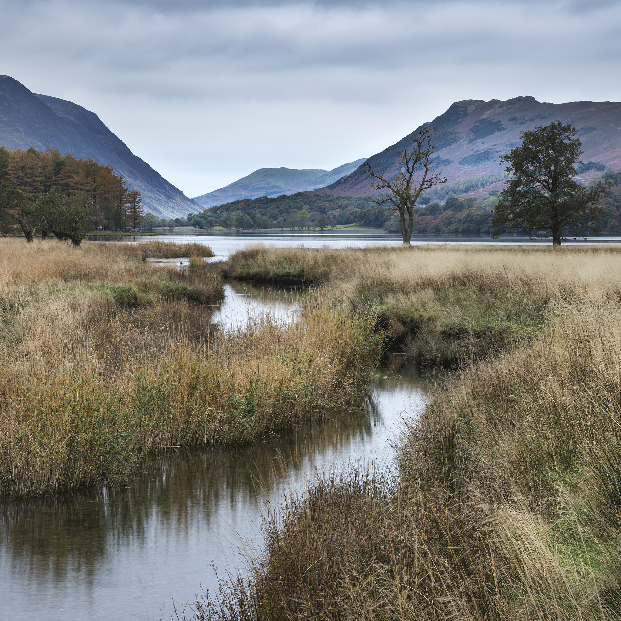 Nikon D800 sample photo. Stuning autumn fall landscape image of lake buttermere in lake d photography