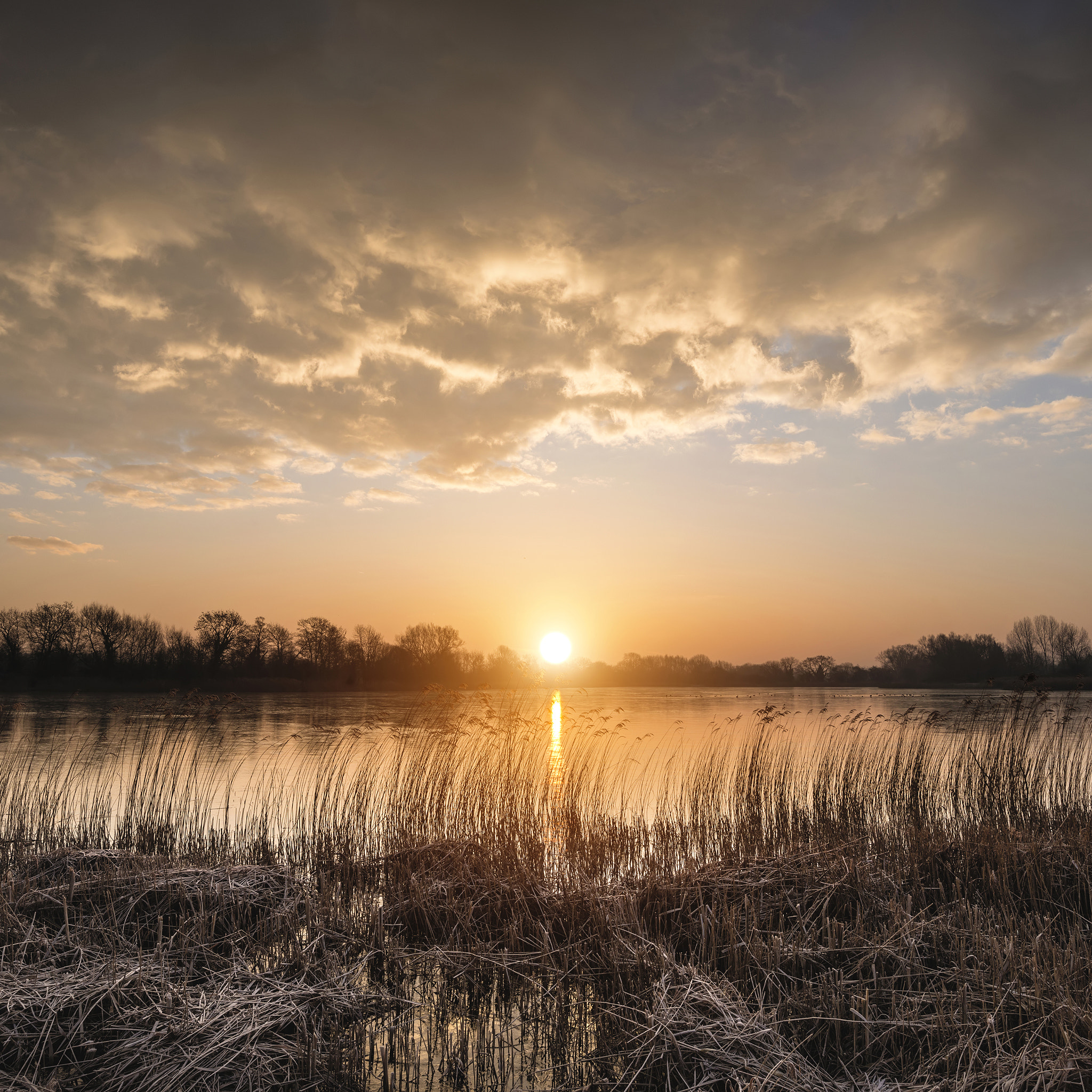 Nikon D800 + Nikon AF-S Nikkor 18-35mm F3.5-4.5G ED sample photo. Stunning colorful winter sunrise over reeds on lake in cotswolds photography