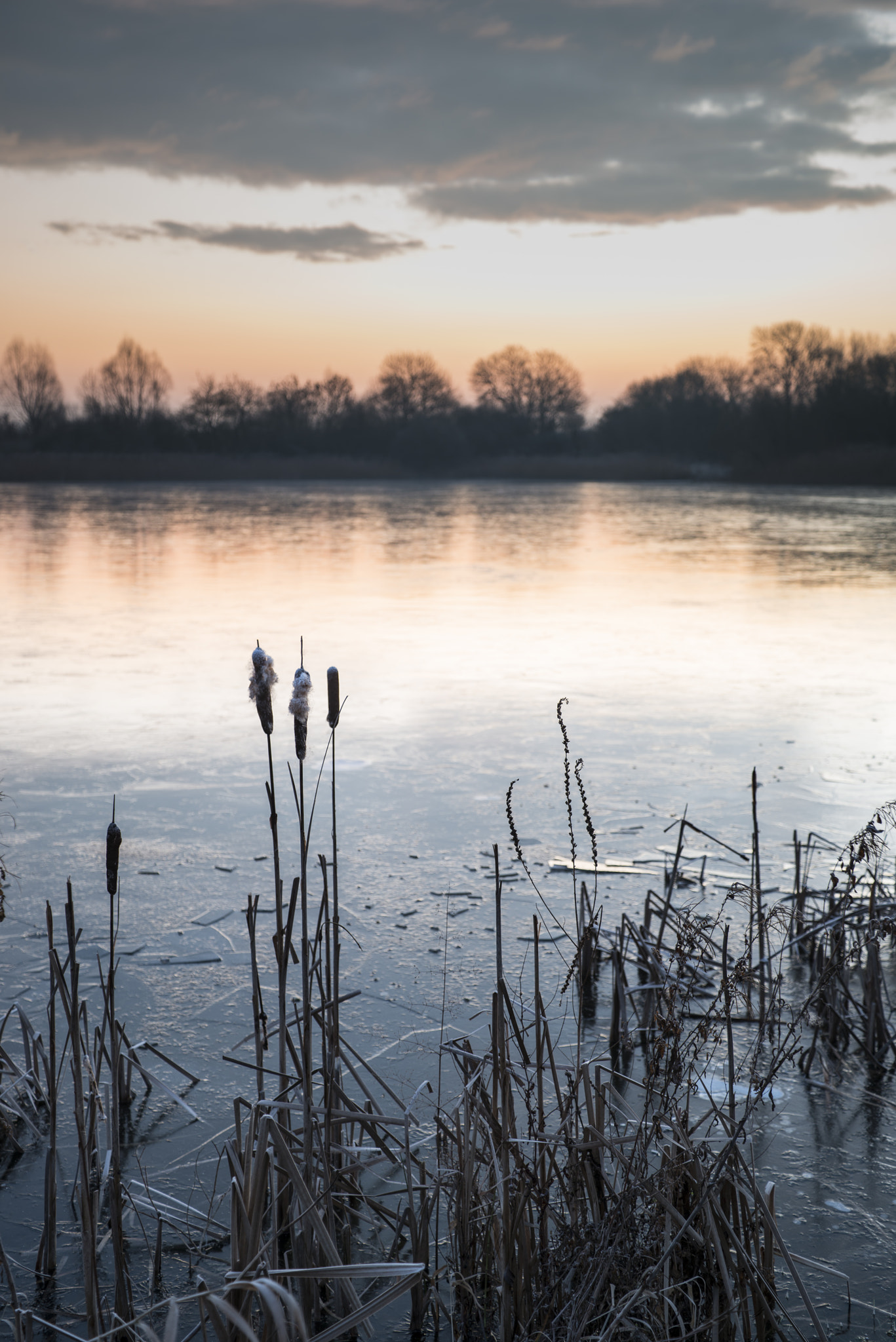 Nikon D800 sample photo. Stunning colorful winter sunrise over reeds on lake in cotswolds photography