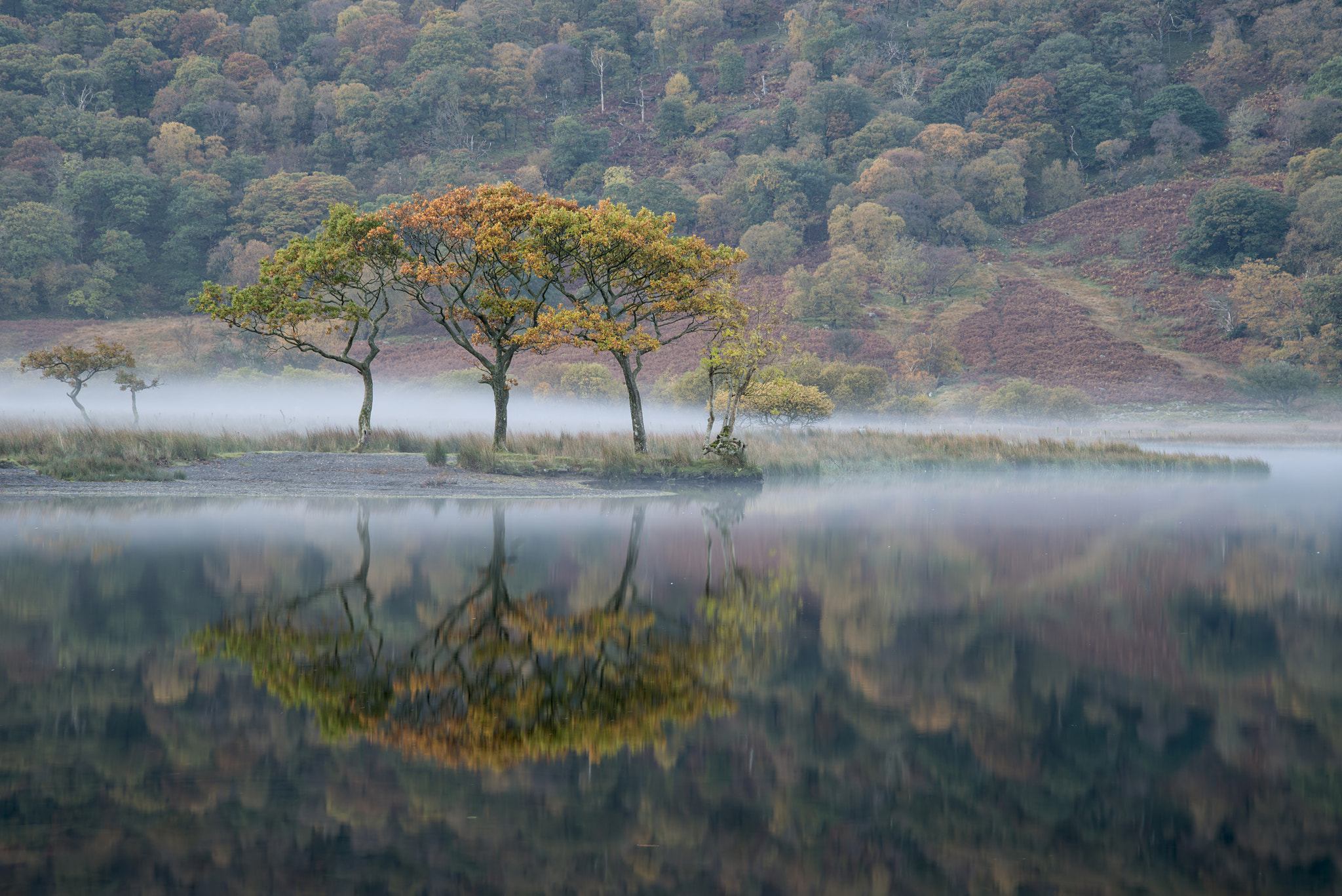 Nikon D800 sample photo. Stunning winter foggy sunrise on crummock water in lake district photography