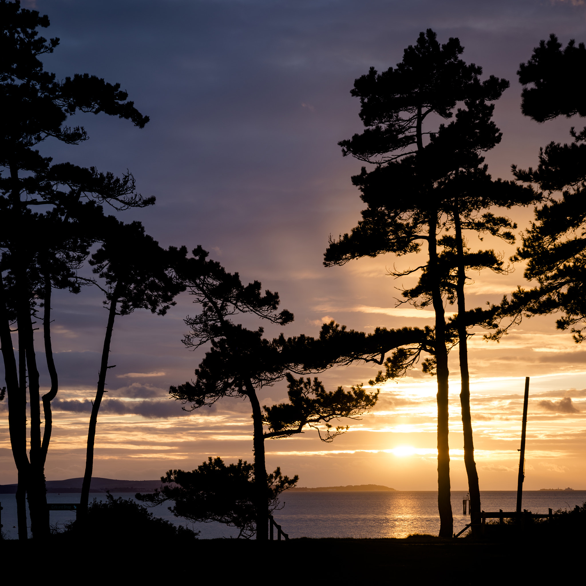 Nikon D800 + Nikon AF-S Nikkor 24-85mm F3.5-4.5G ED VR sample photo. Stunning silhouette at the coast during vibrant winter sunset photography