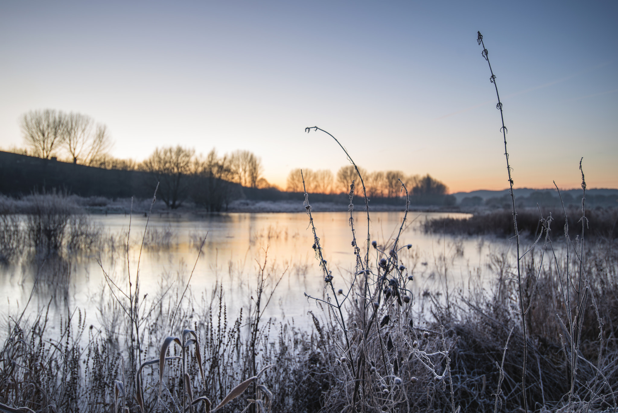 Nikon D800 sample photo. Beautiful vibrant english countryside lake image with frost and photography