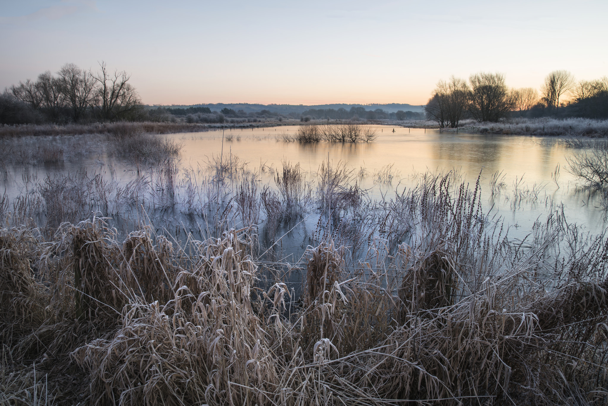 Nikon D800 sample photo. Beautiful vibrant english countryside lake image with frost and photography