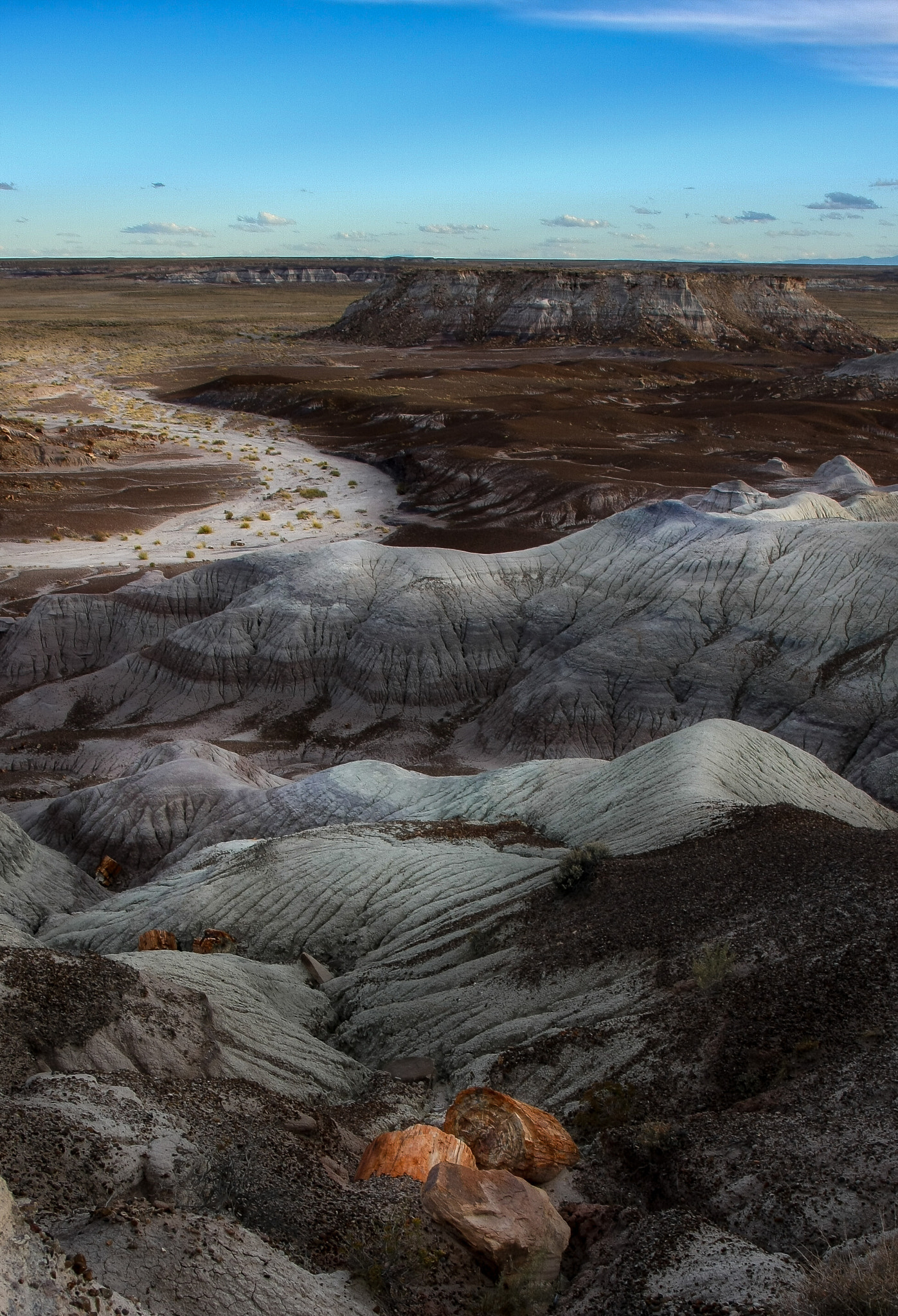 Canon EOS 40D + Canon EF 17-40mm F4L USM sample photo. Petrified forest photography